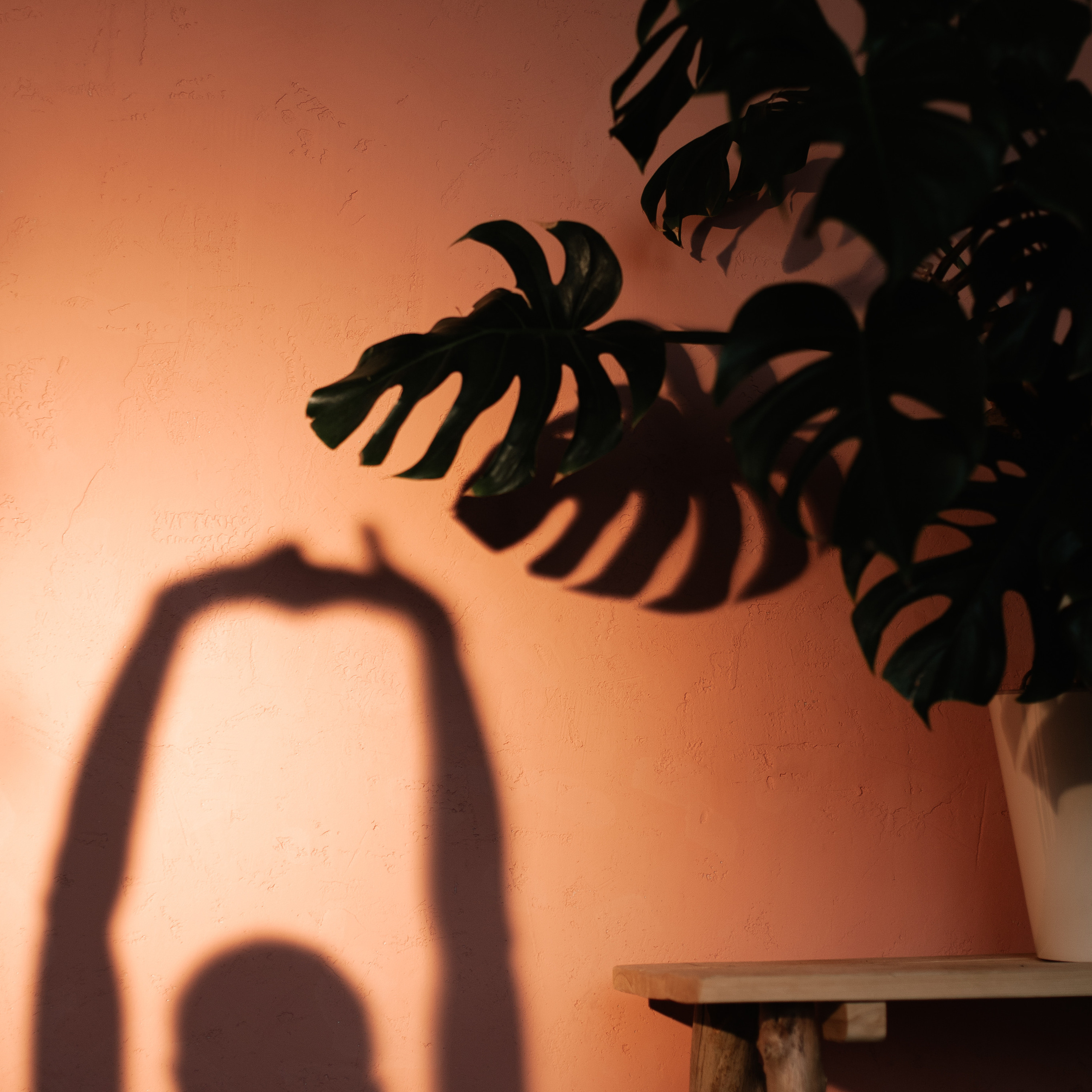 Юля йога-практик. Художественный фотограф Екатерина Серова