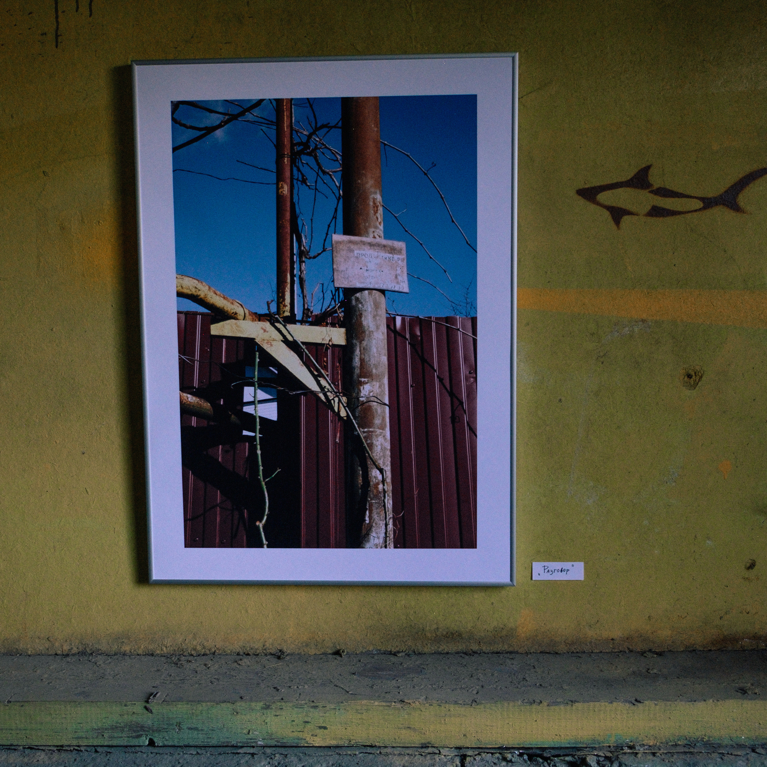 Фотовыставка «Южный Урбан». Художественный фотограф Екатерина Серова