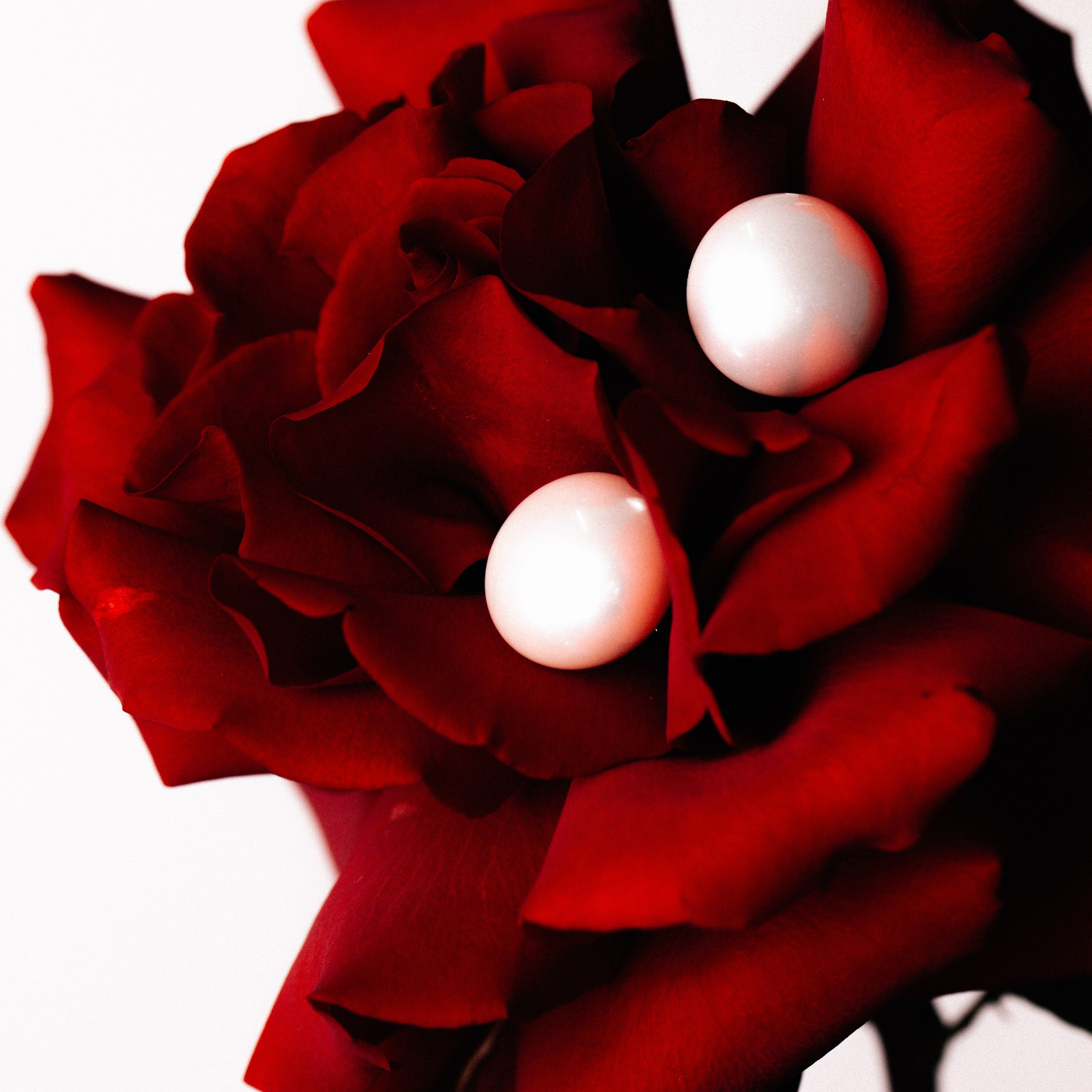 Украшения. Художественный фотограф Екатерина Серова