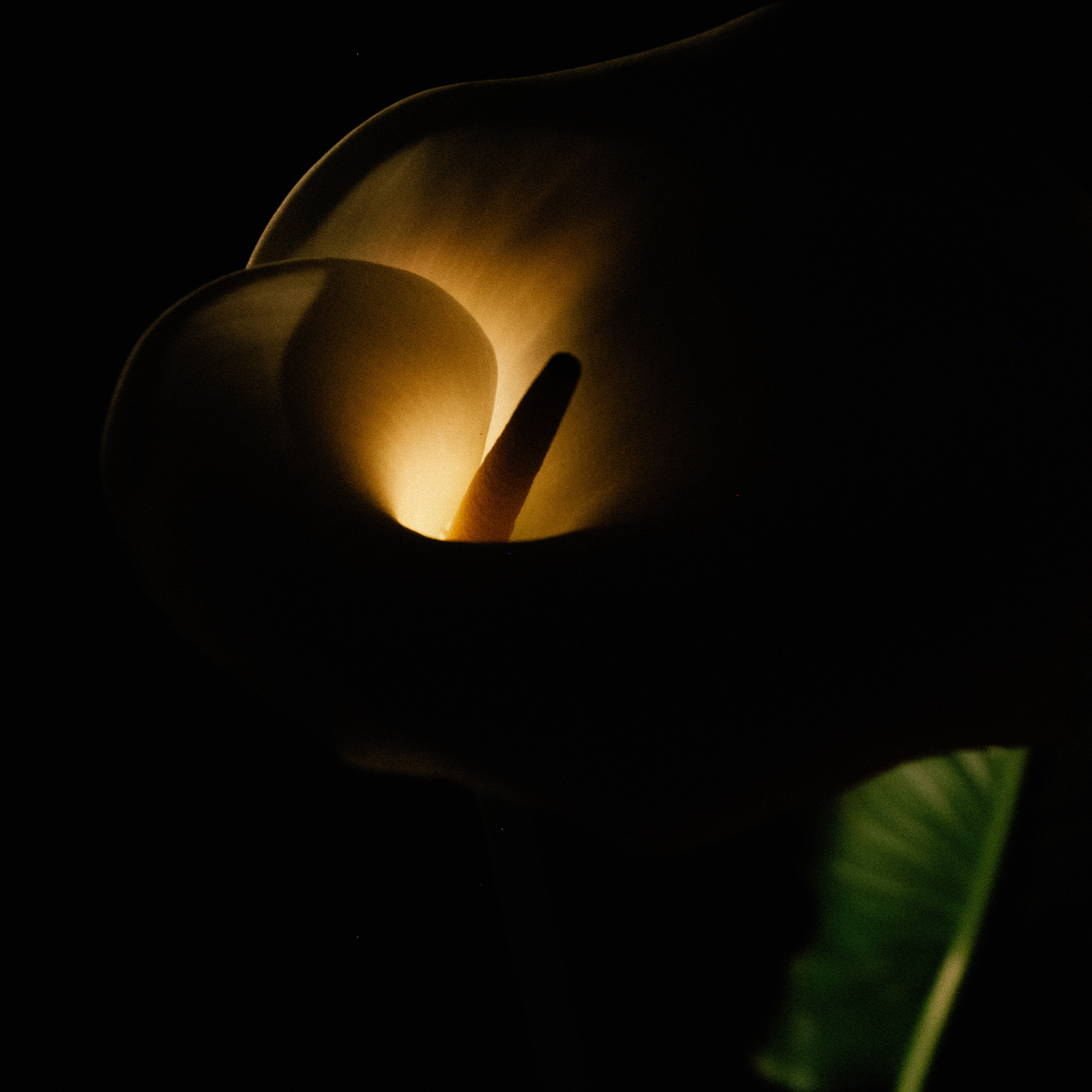 История любви. Художественный фотограф Екатерина Серова