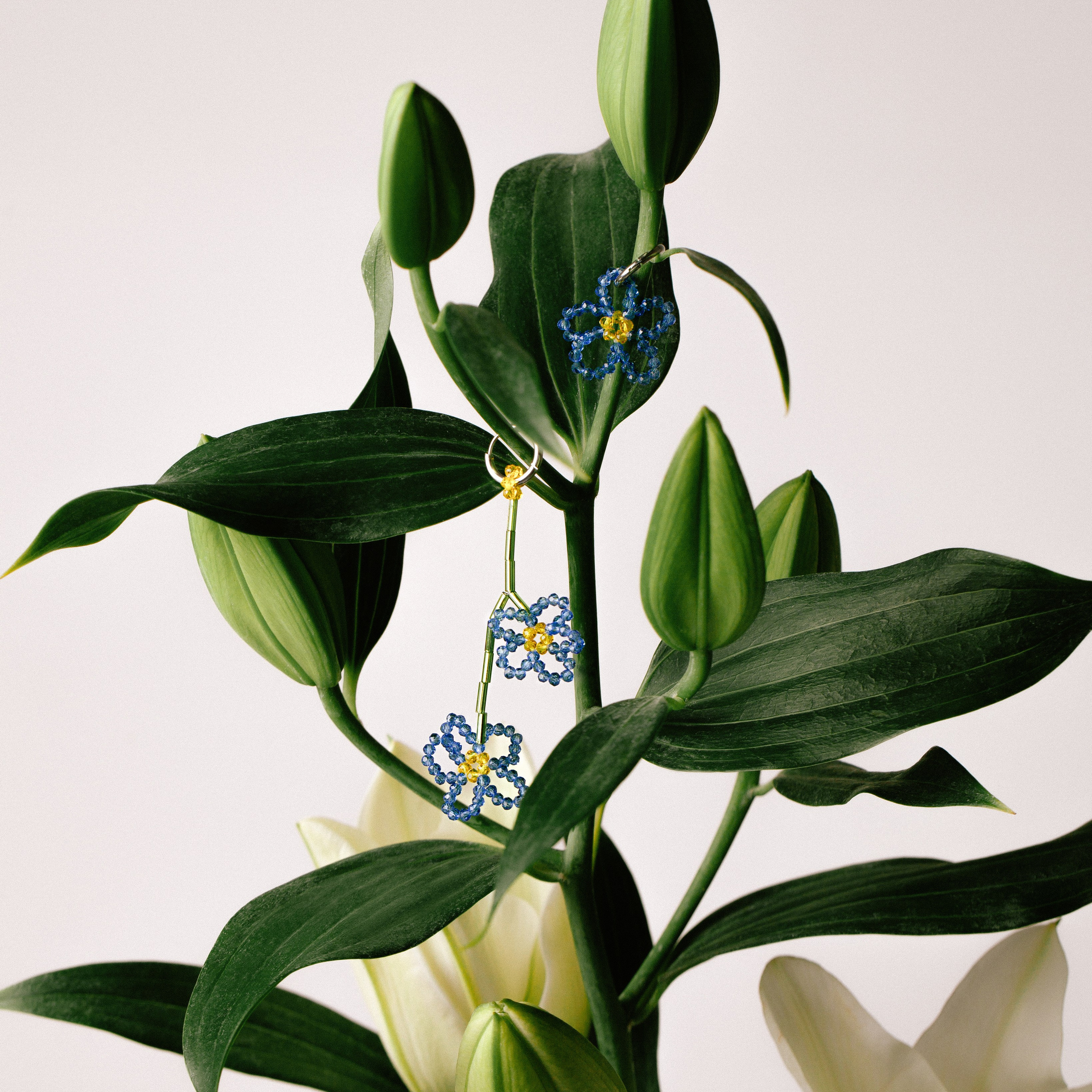 Предметная съёмка. Художественный фотограф Екатерина Серова