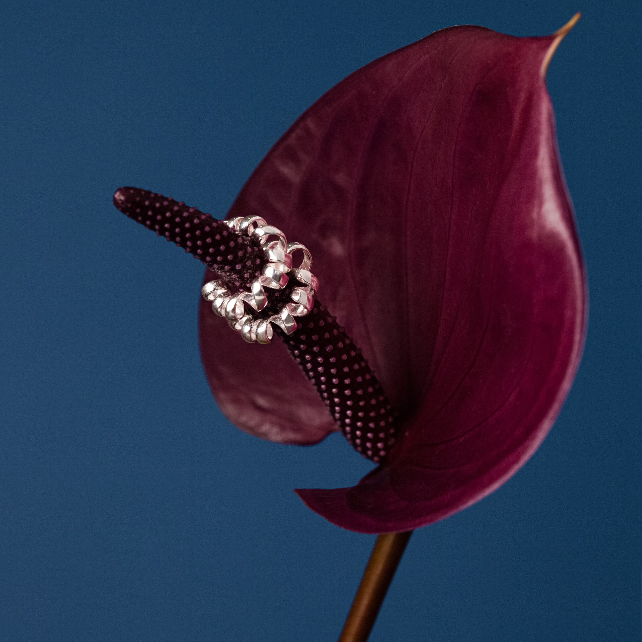 Украшения. Художественный фотограф Екатерина Серова