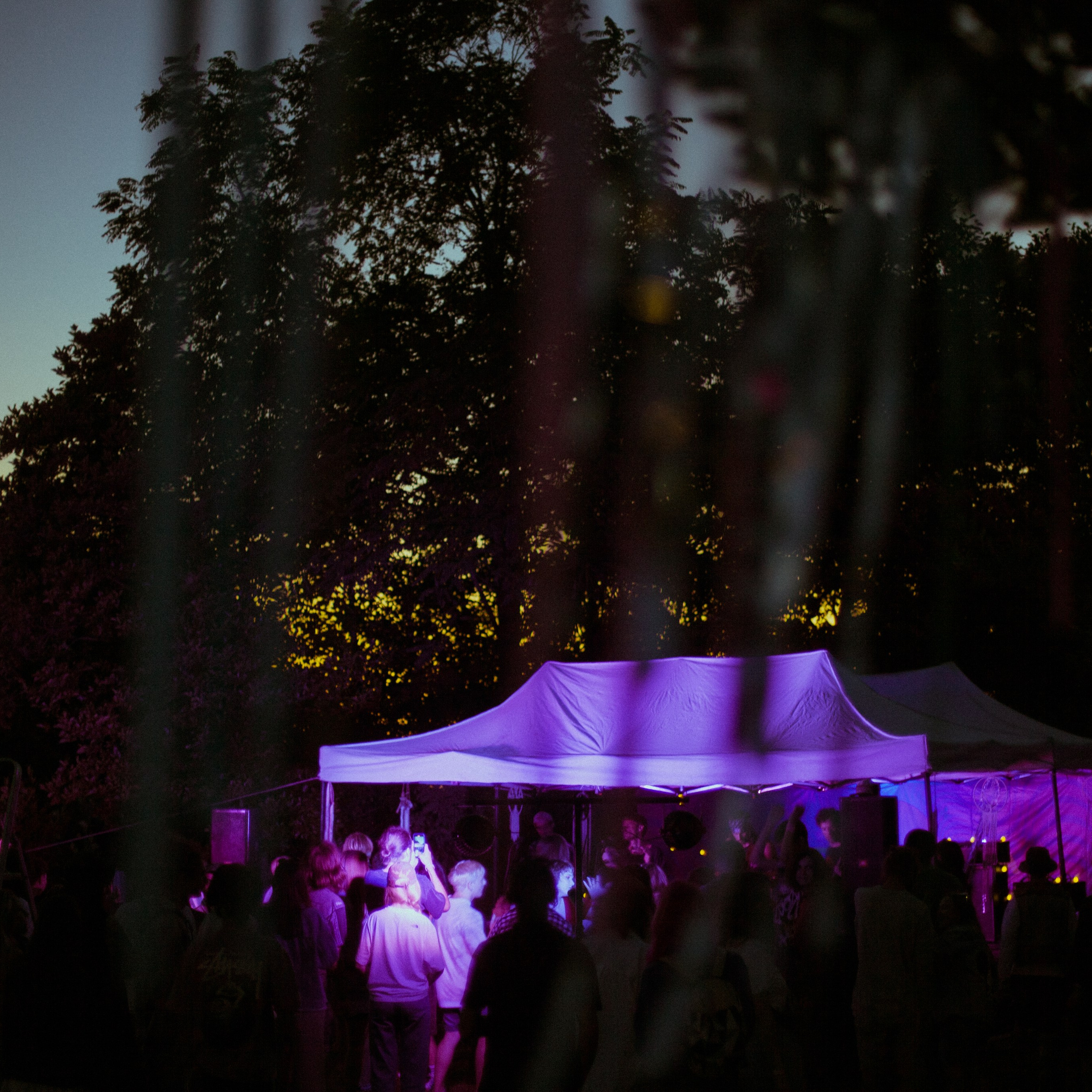 Subtropica. Художественный фотограф Екатерина Серова