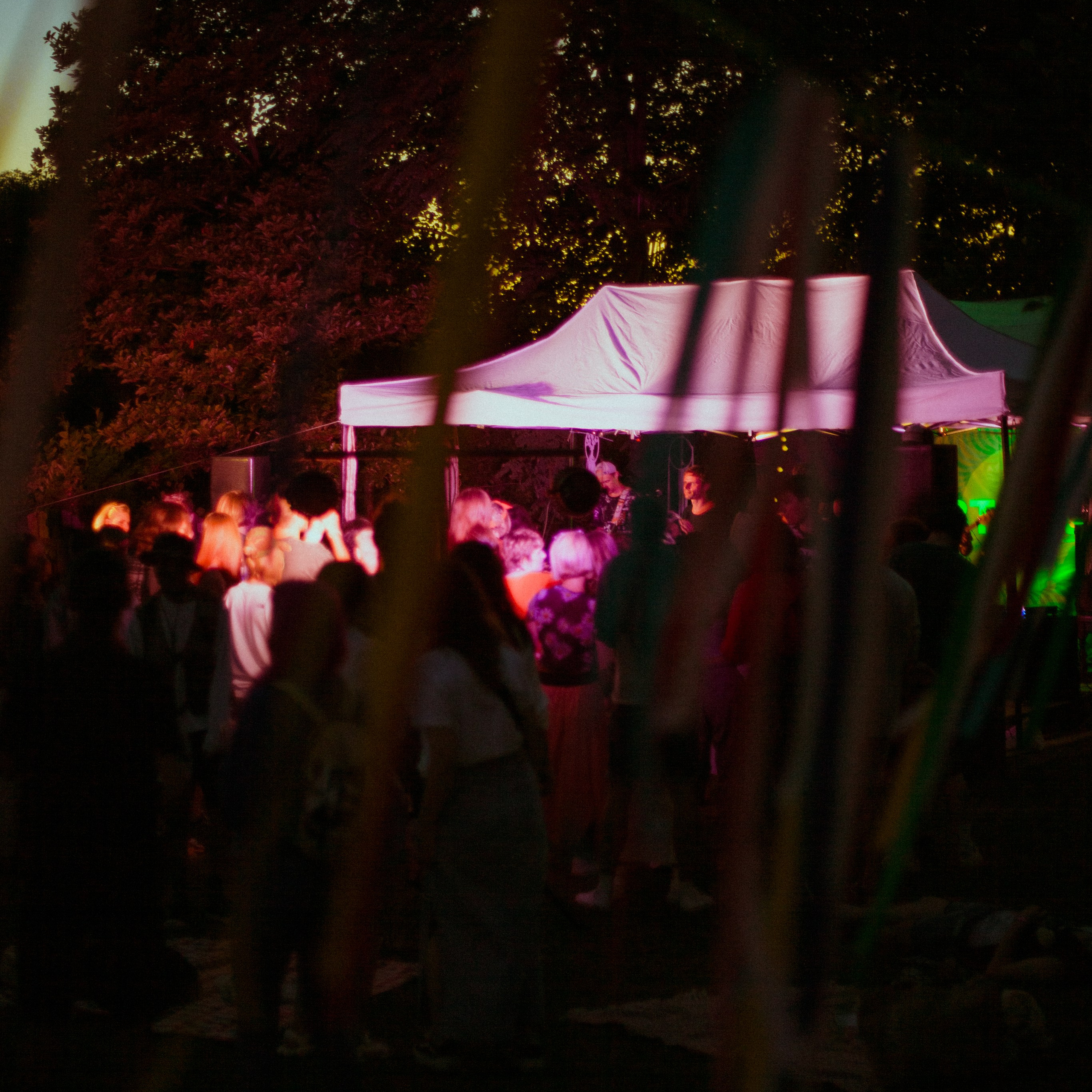 Subtropica. Художественный фотограф Екатерина Серова