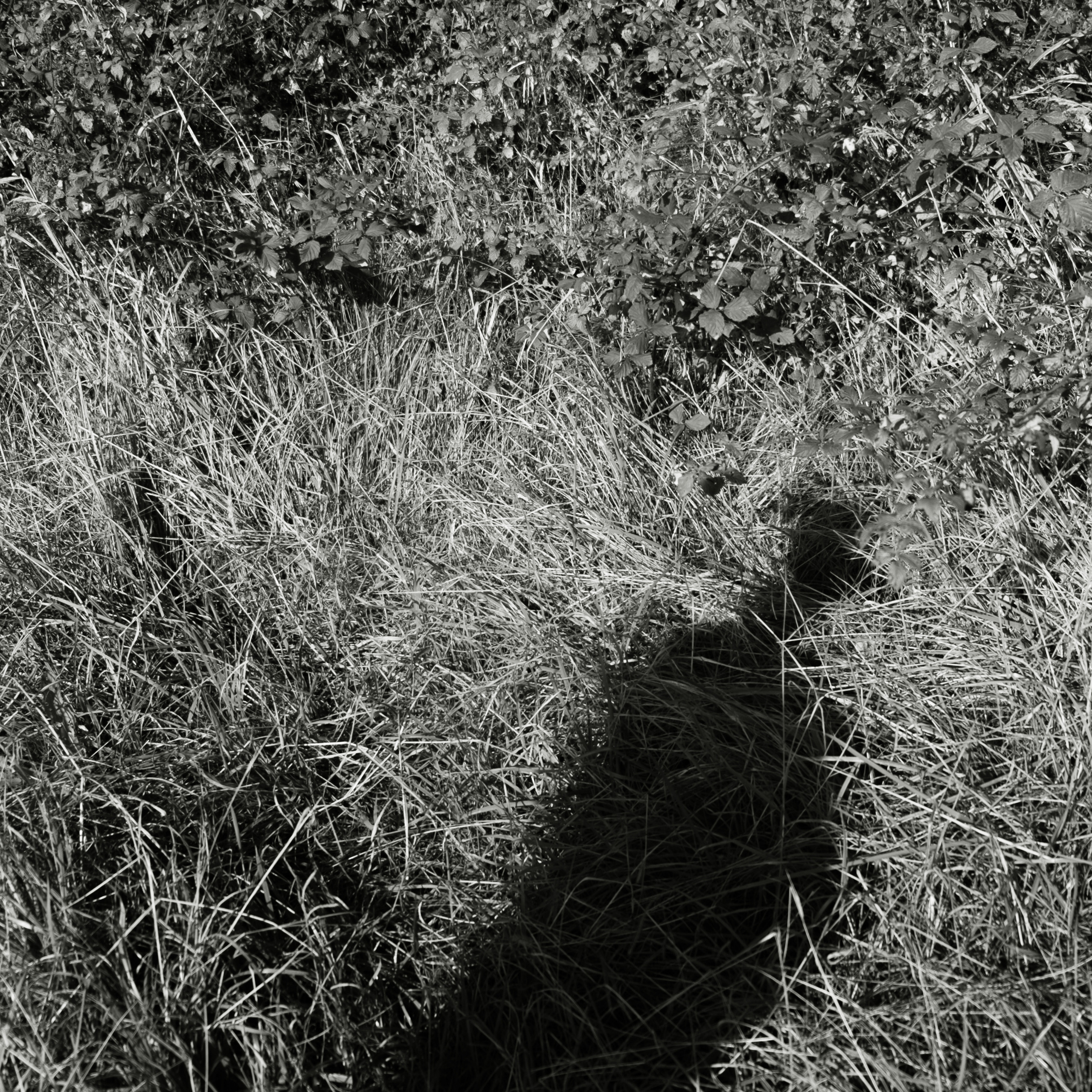 Данил. Художественный фотограф Екатерина Серова