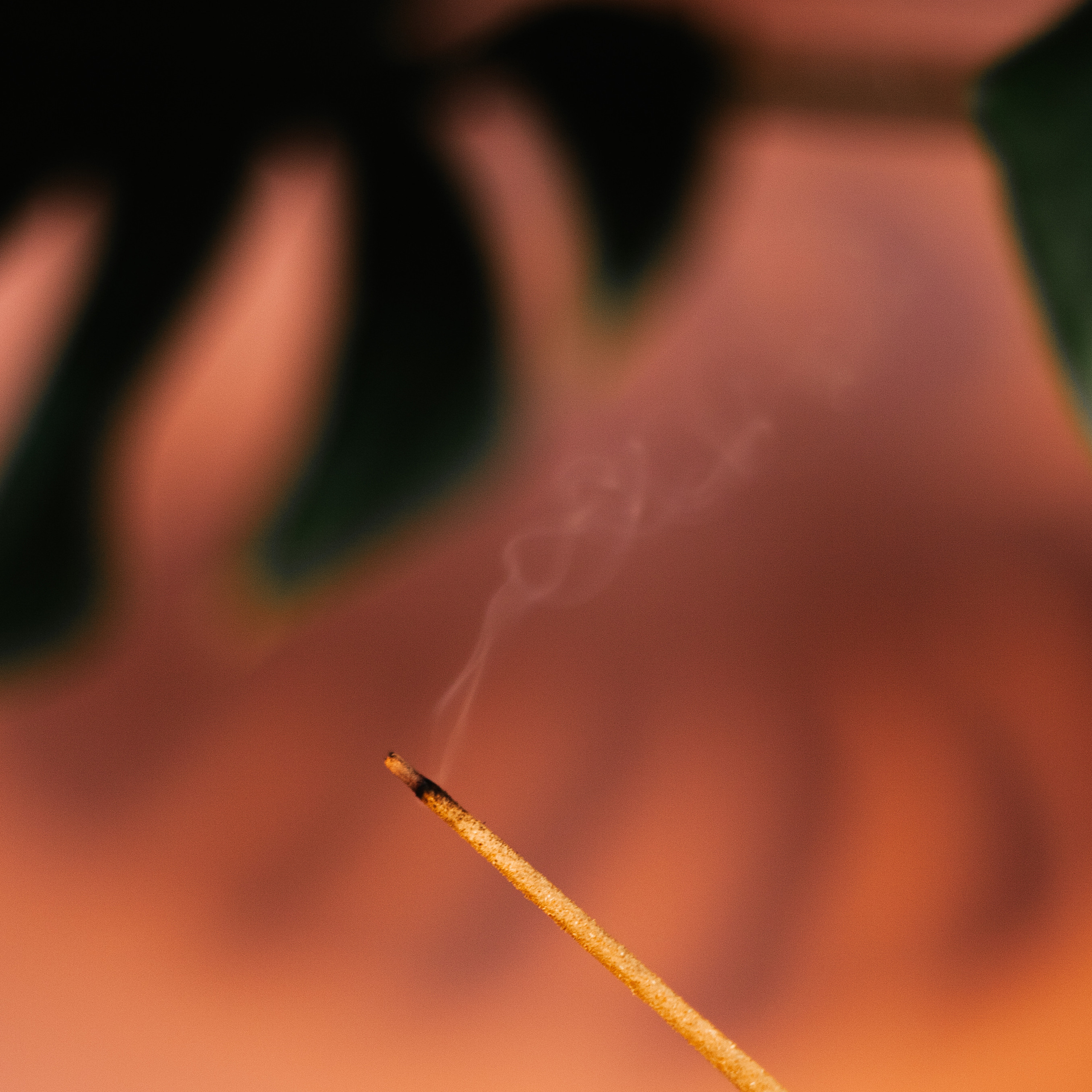 Юля йога-практик. Художественный фотограф Екатерина Серова