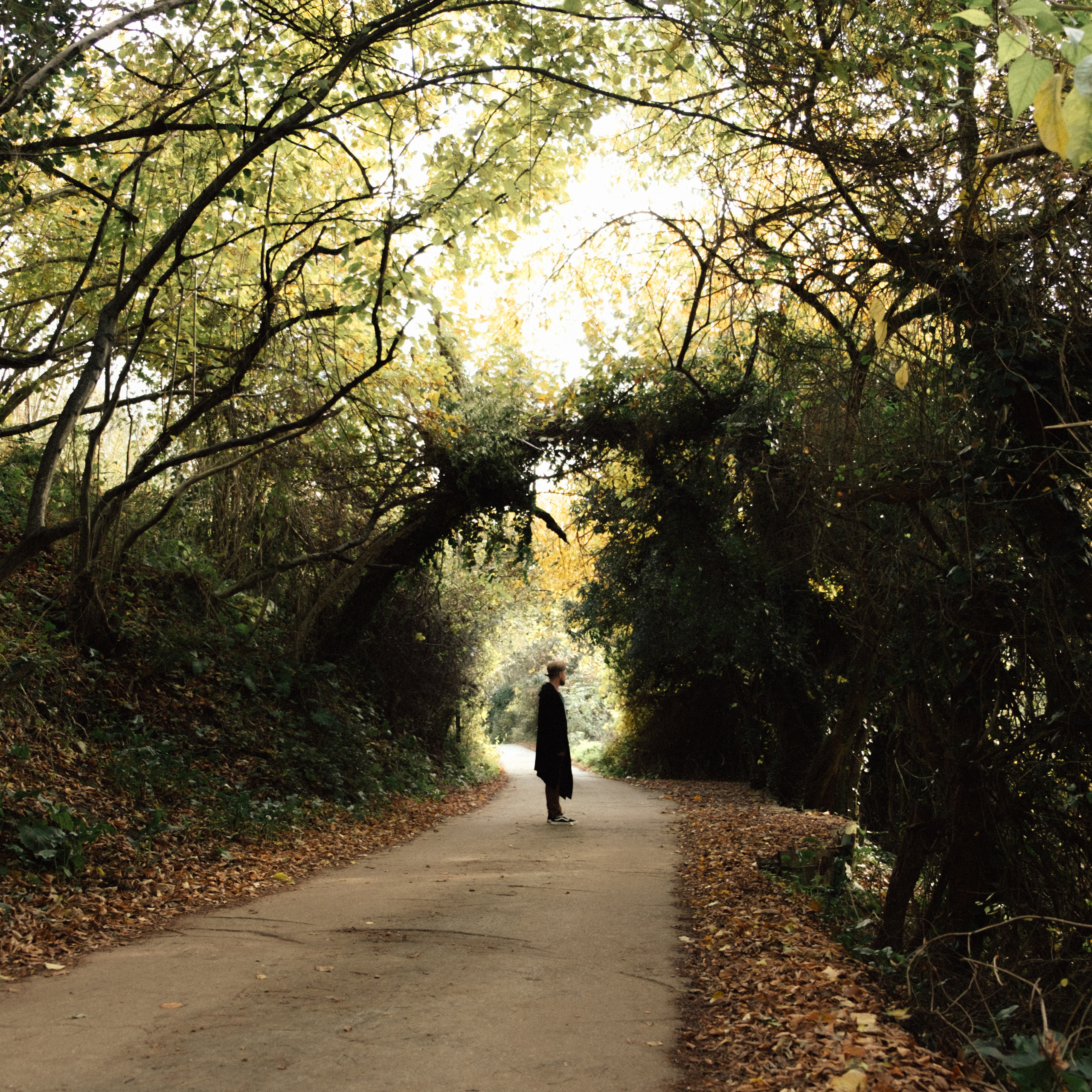 Данил. Художественный фотограф Екатерина Серова