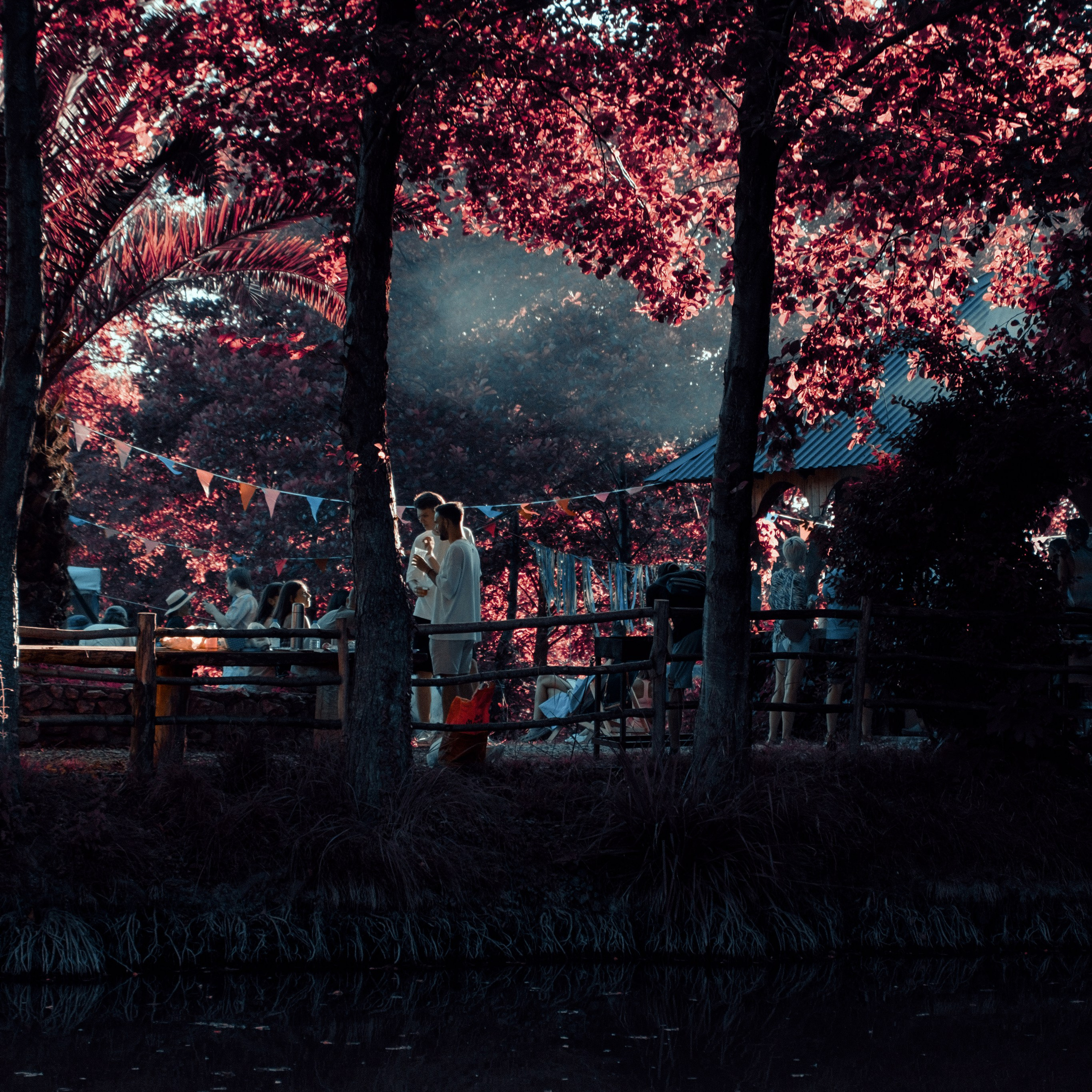 Subtropica. Художественный фотограф Екатерина Серова