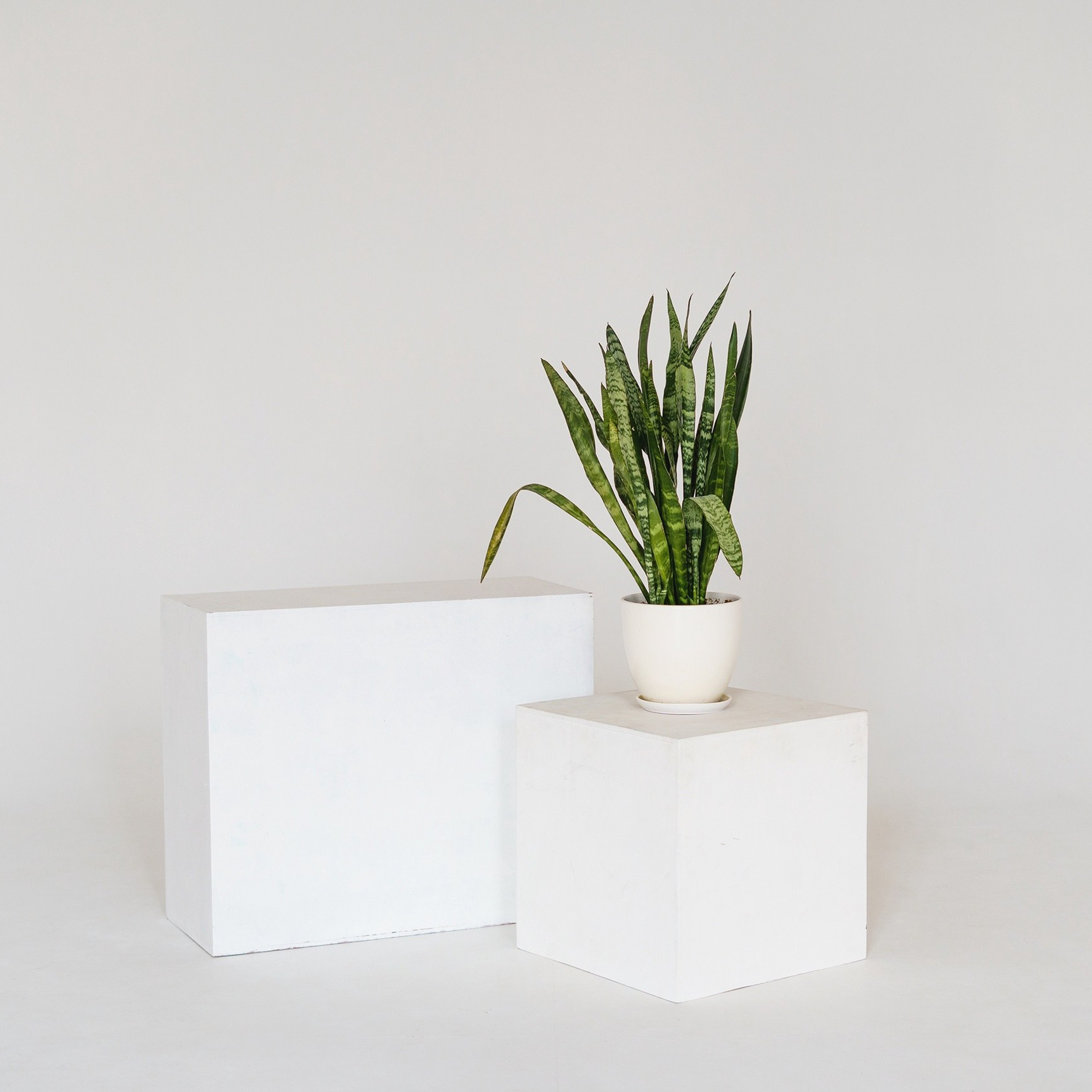 АРТ БАЗА «Циклорама». Каплицкая Любовь — фотограф Тверь