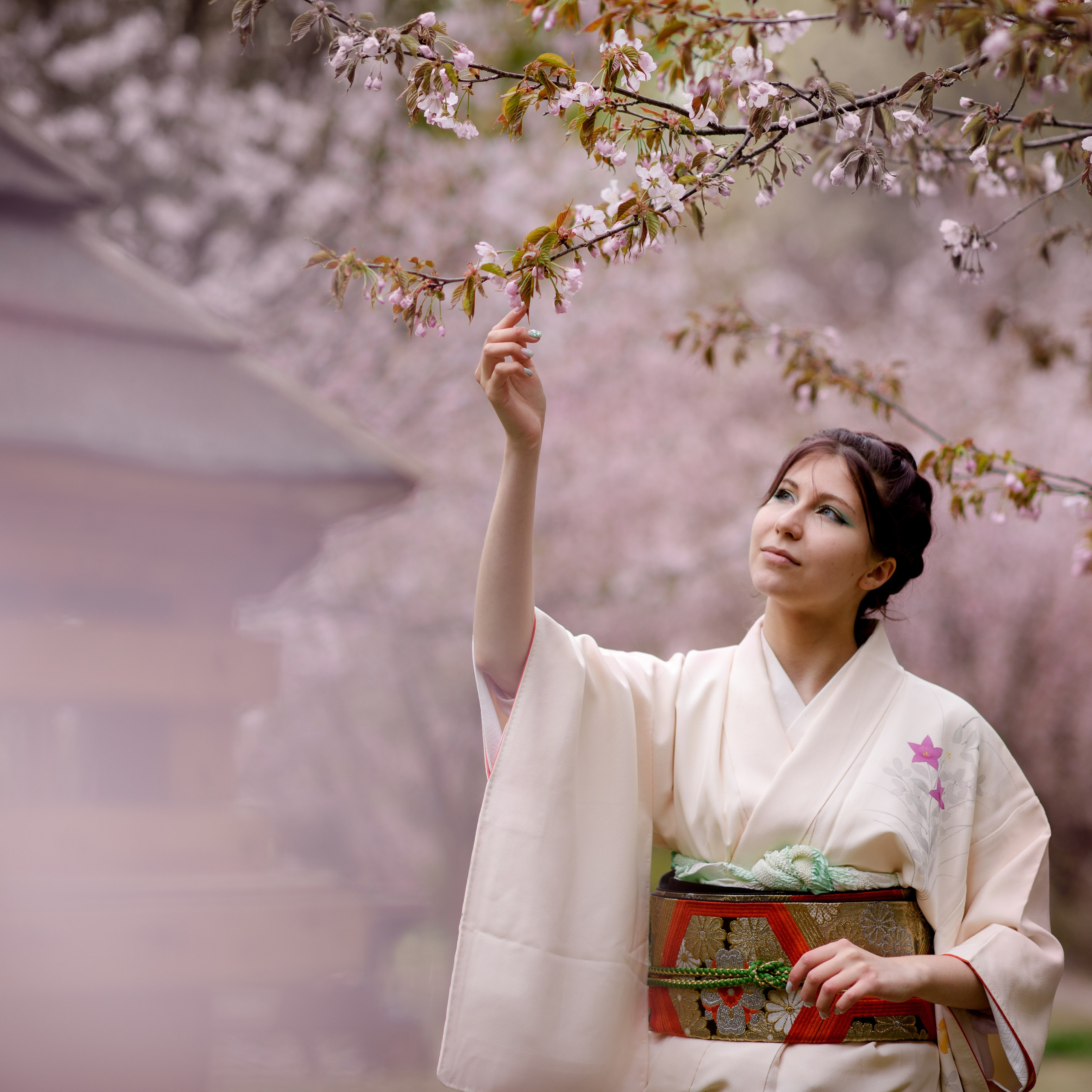 Ханами в Бирюлевском дендропарке