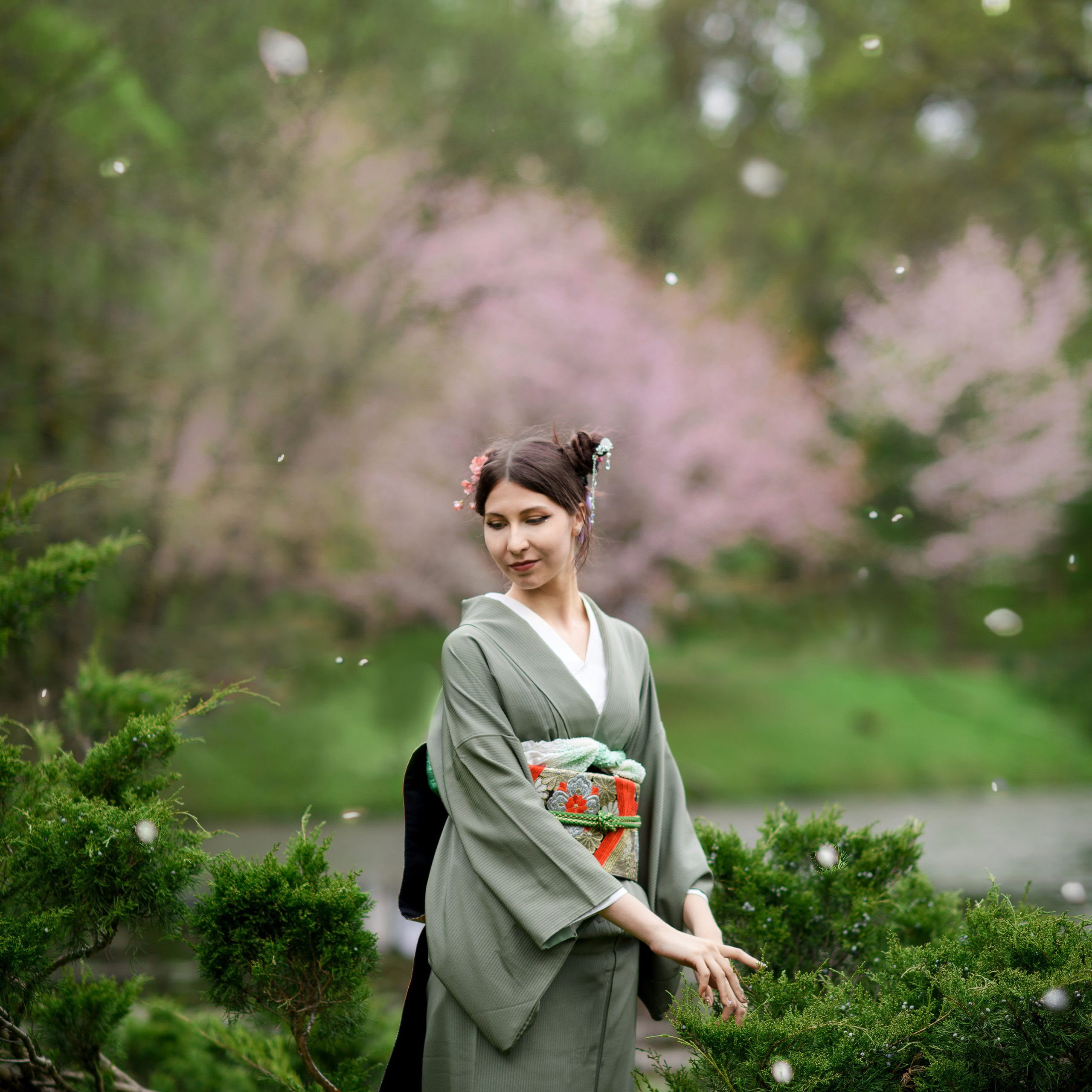 Ханами в Японском саду