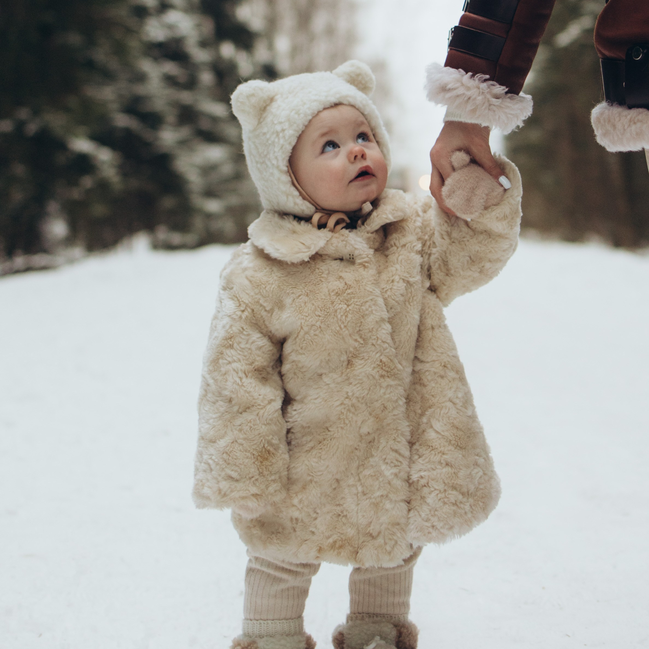 Снежный лес