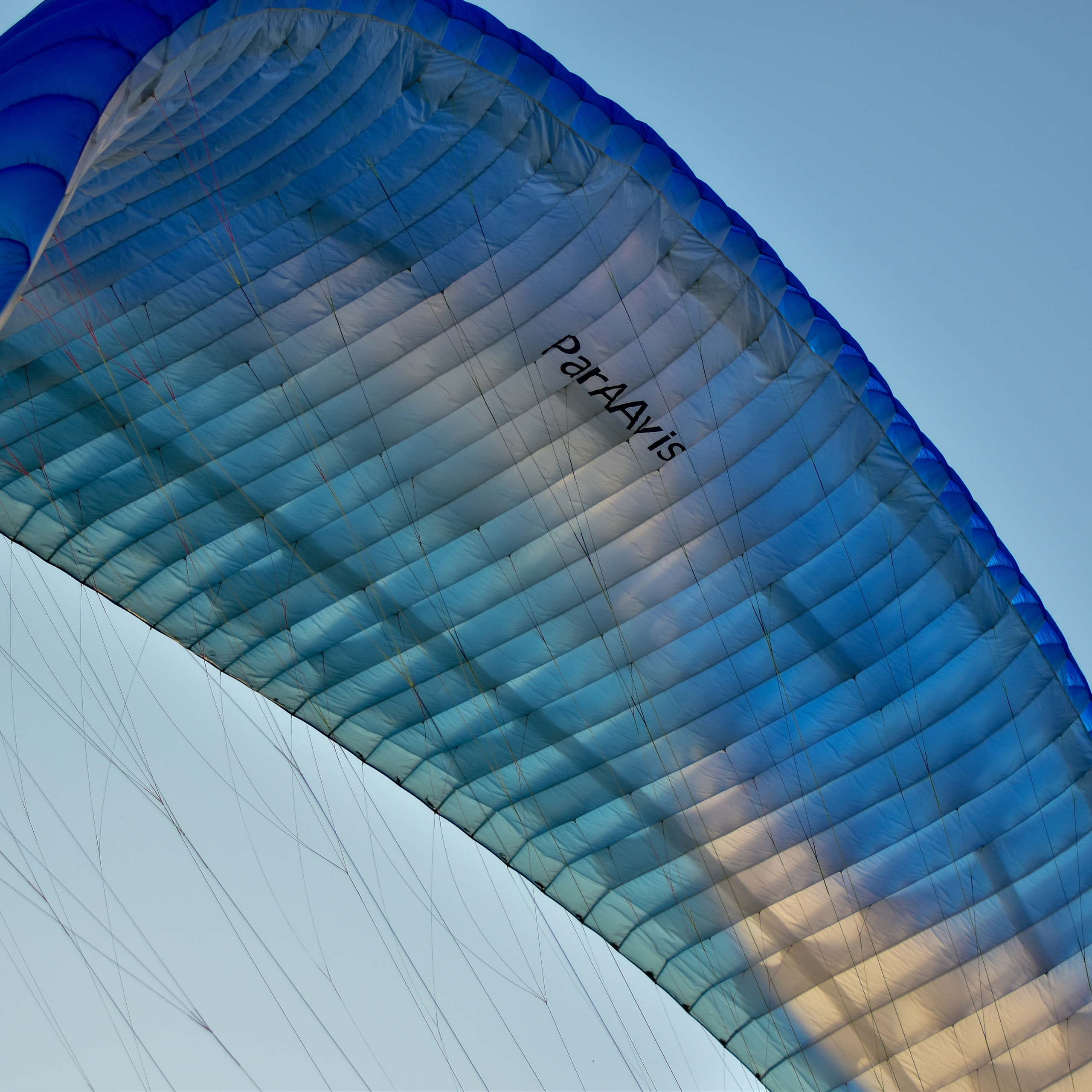 Отзывы. Елена Рязанцева Ваш фотограф в городе Тула