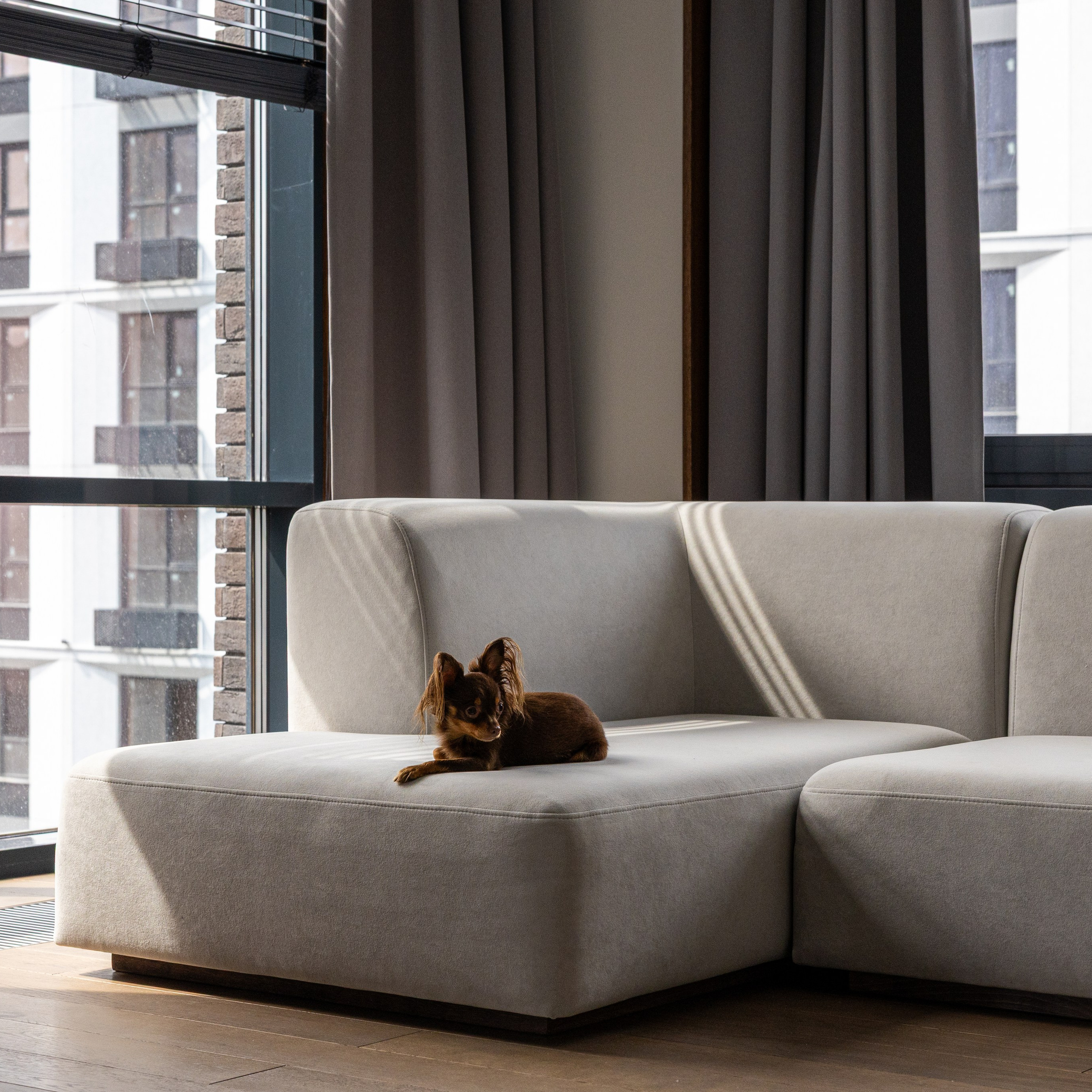 Дизайнерская семейная квартира с панорамными окнами