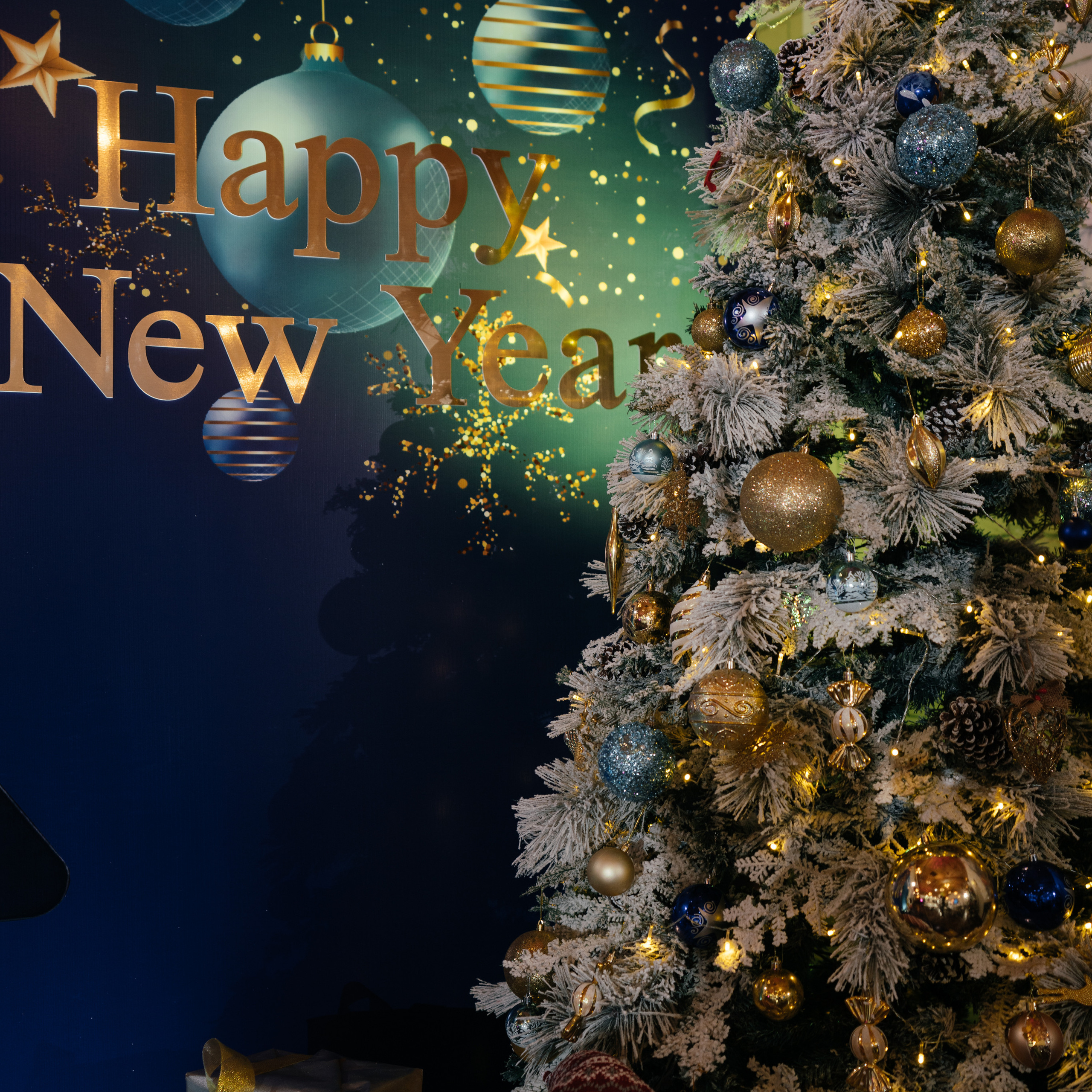 Отзывы. Свадебный фотограф алматы Шожебаев Кайрат