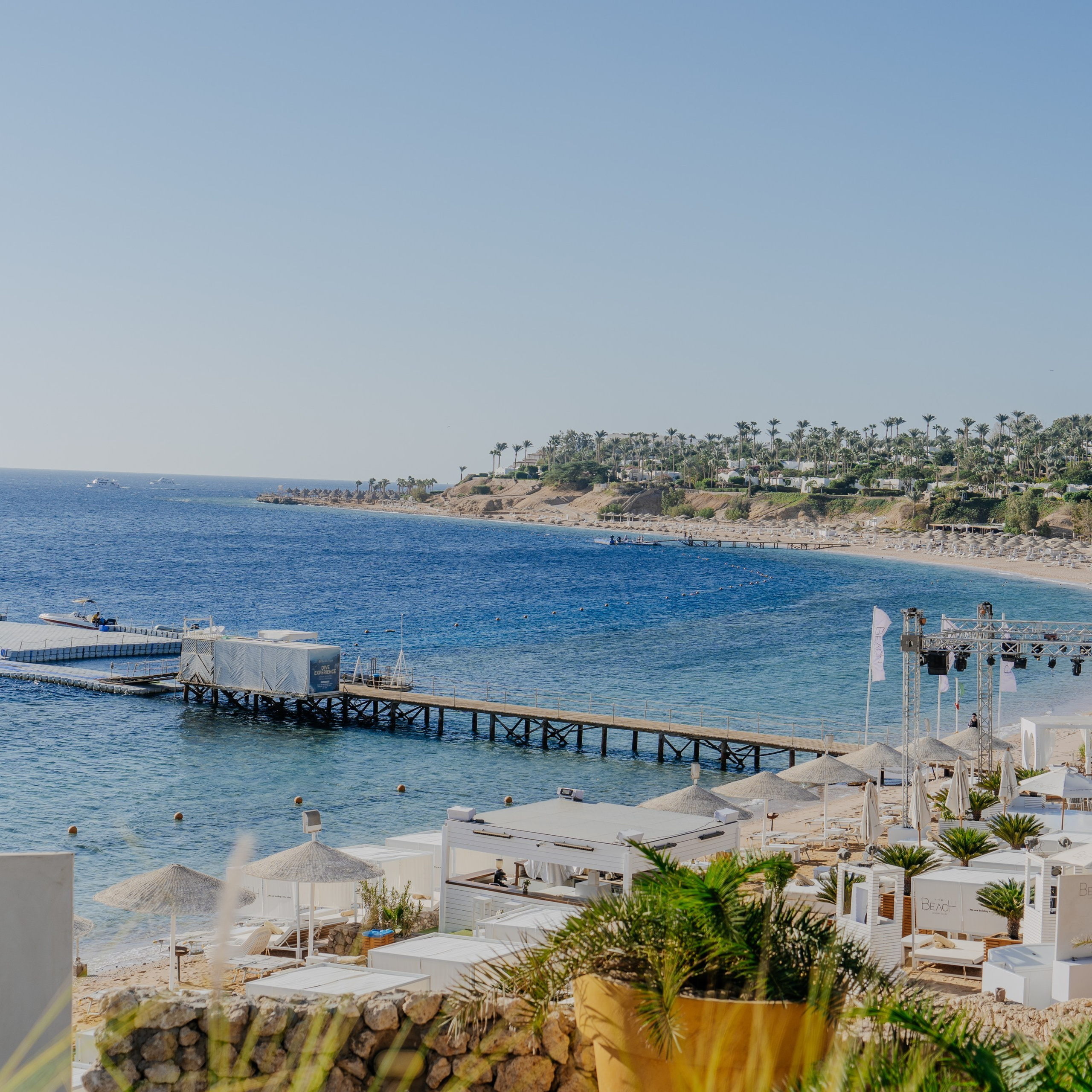 Отзывы. Свадебный фотограф алматы Шожебаев Кайрат