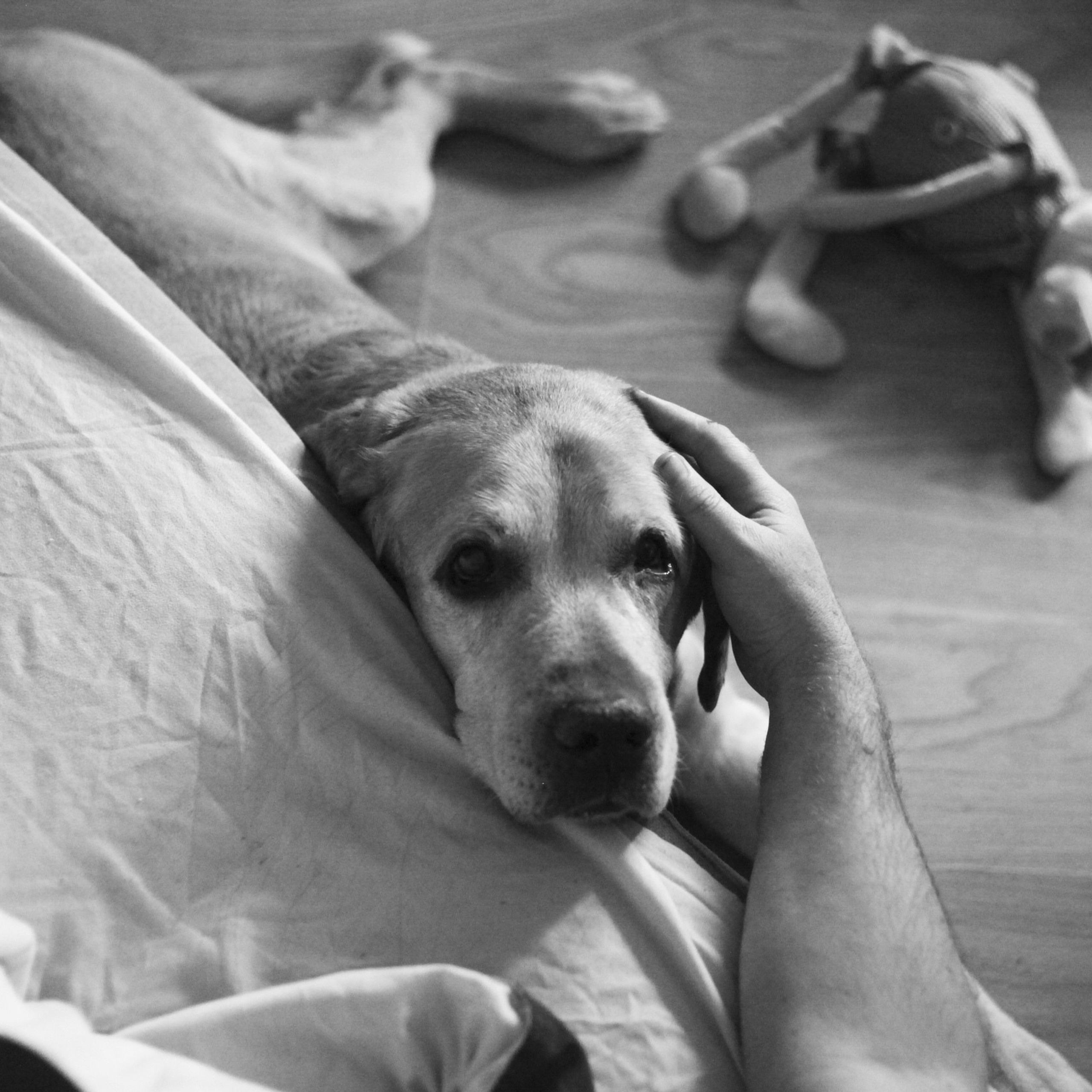 Фотокурс«Искусство домашней фотографии». Фотограф Анастасия Мукоид