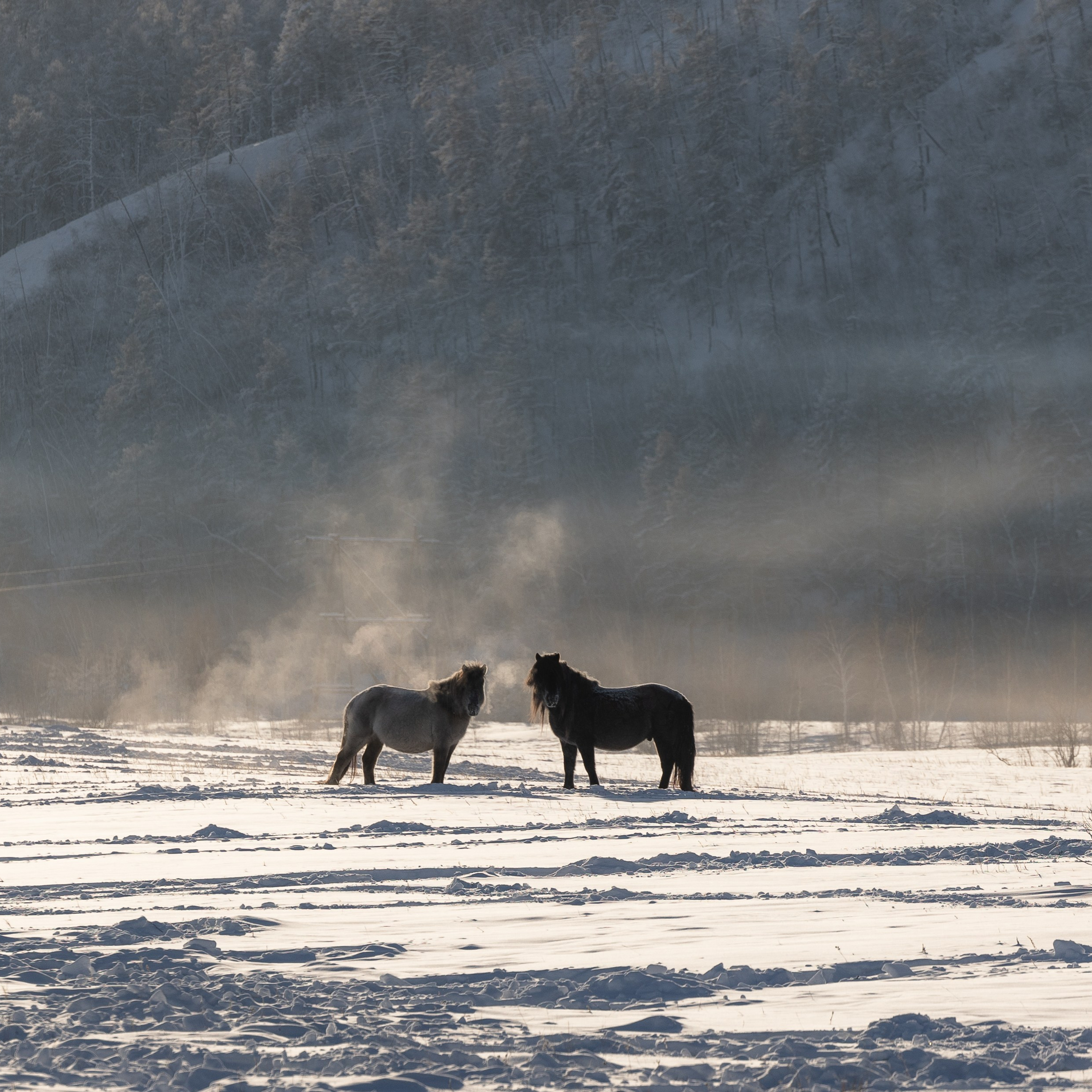 Отзывы. Саргылана Афанасьева