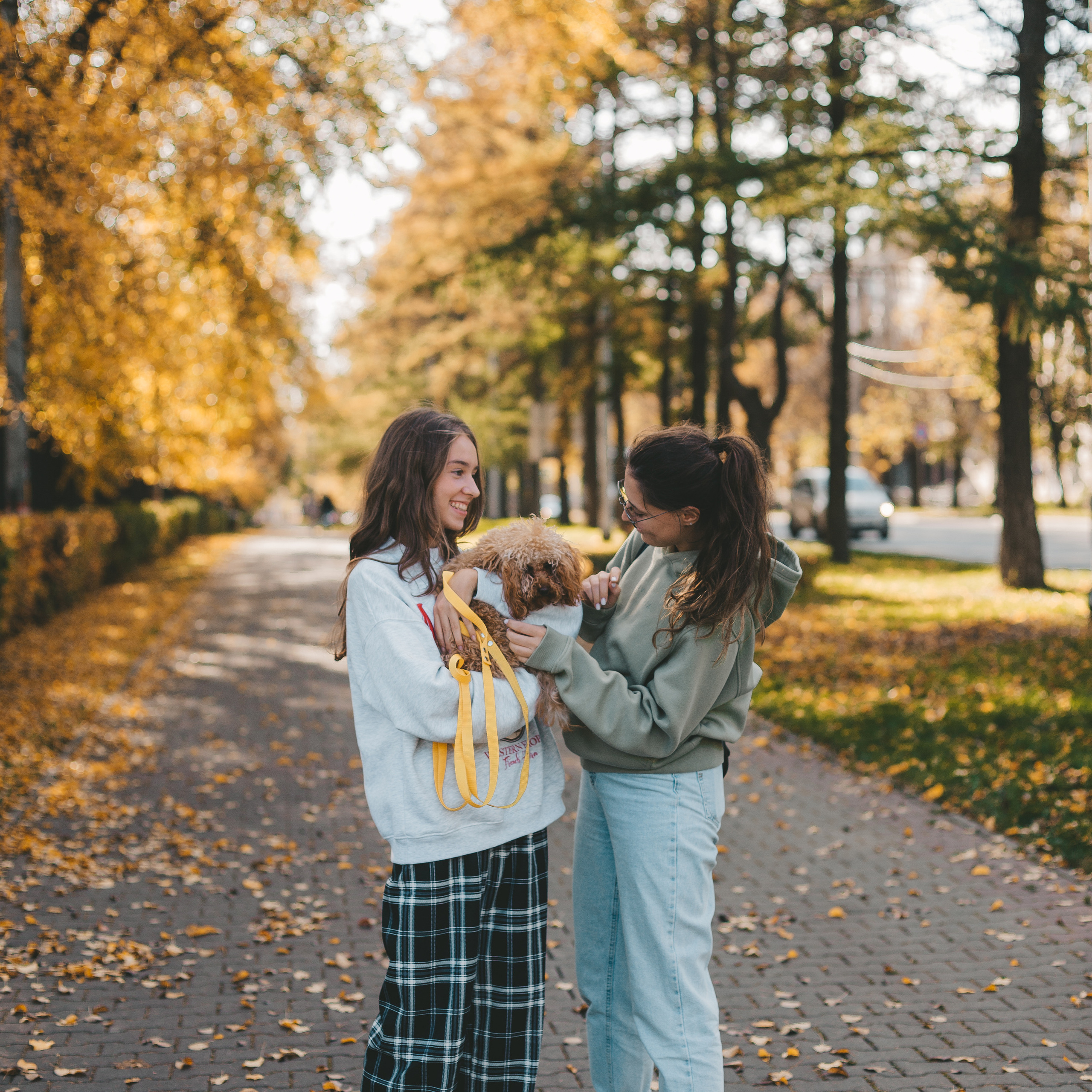Сестры. Осенняя прогулка
