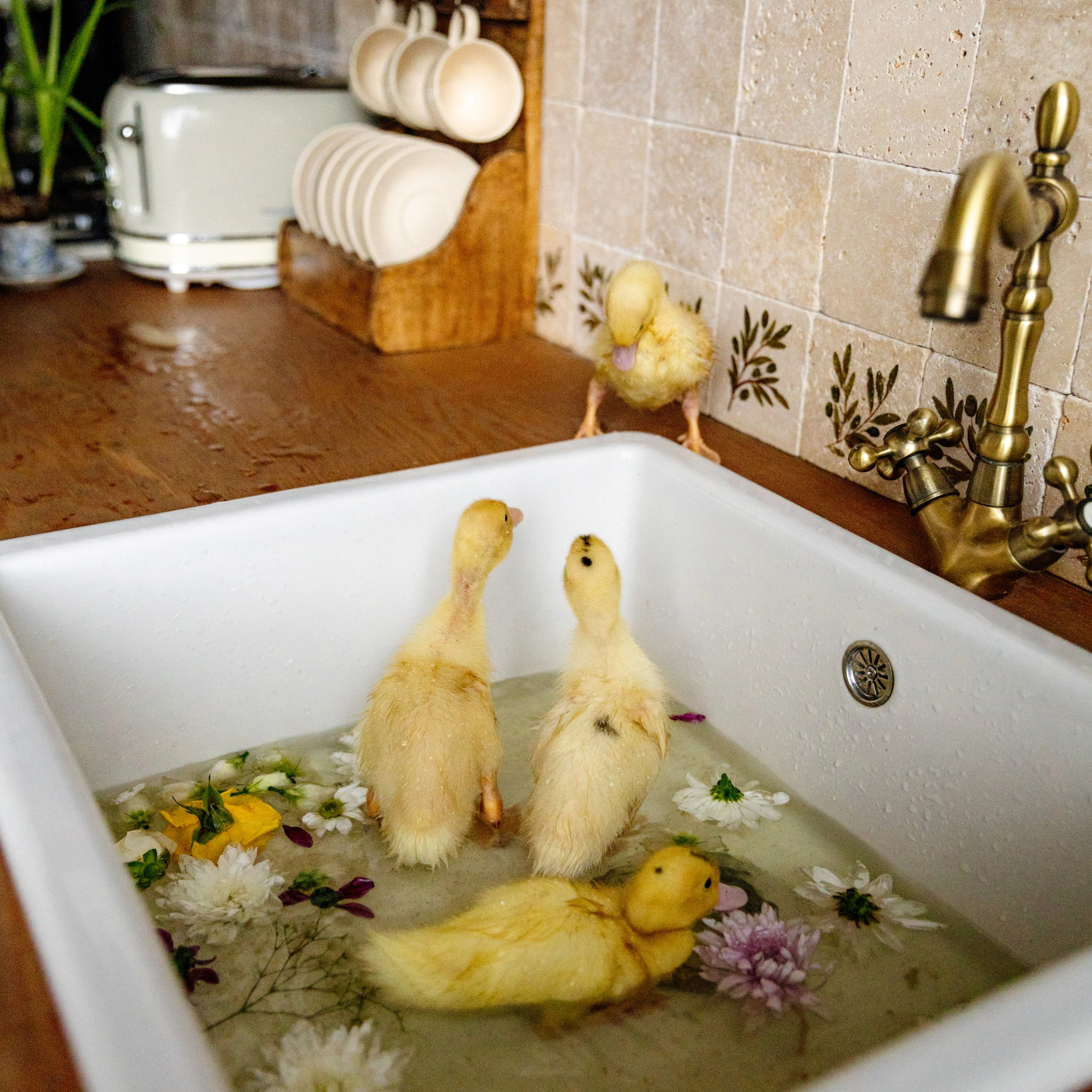 Отзывы. Семейный фотограф документалист в Пензе Лопатинская Татья