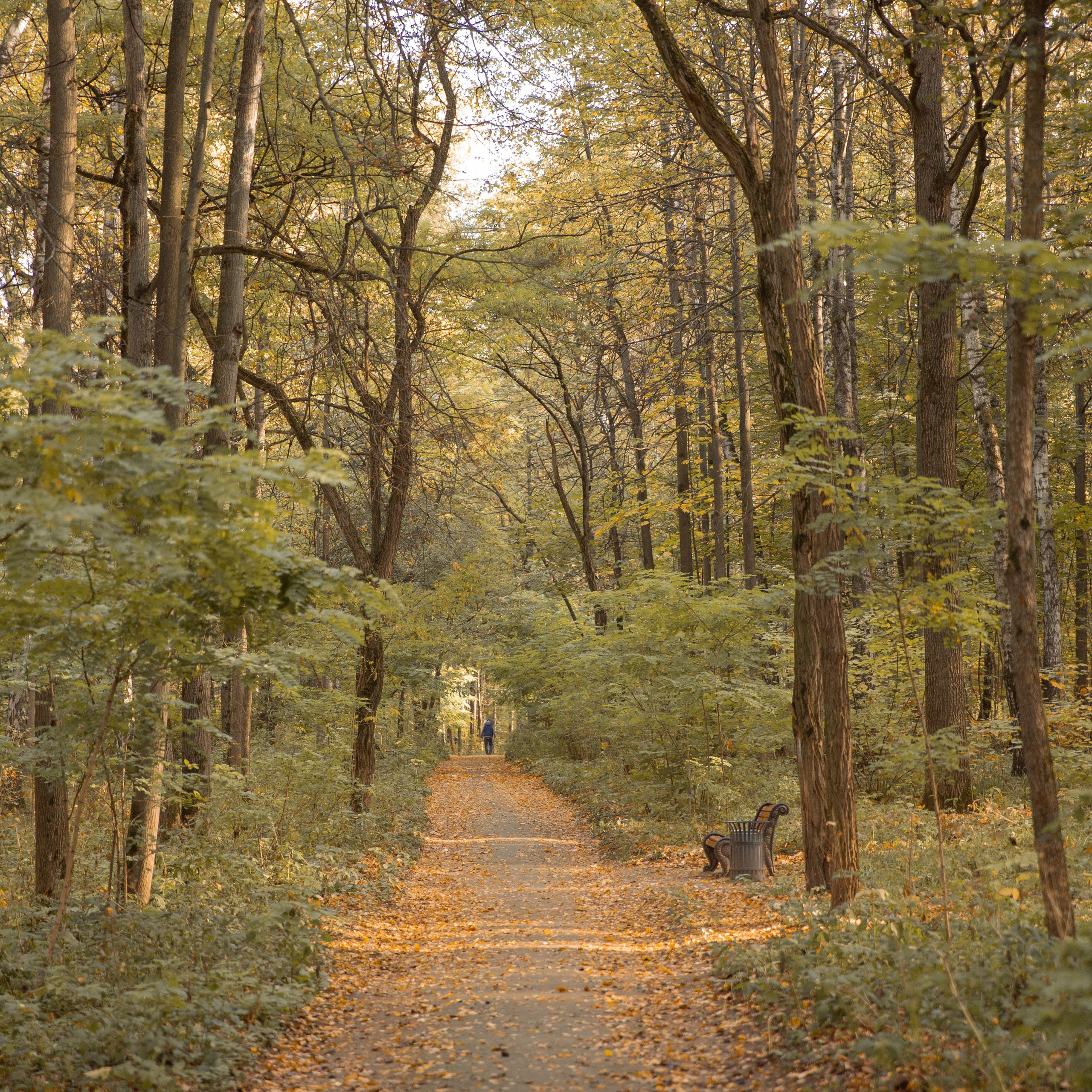 Отзывы. Семейный фотограф и фотограф новорожденных Москва Людмила Зайцева
