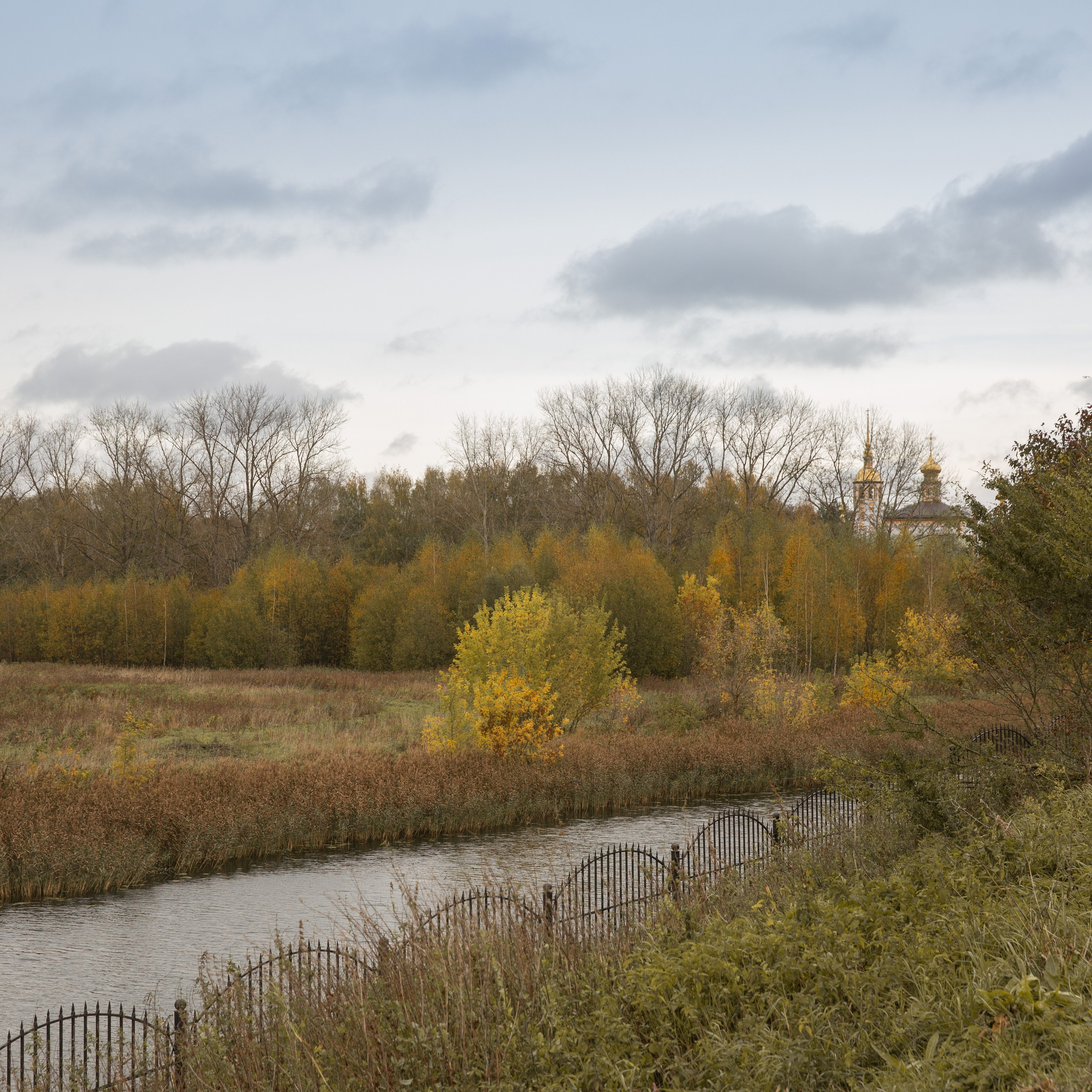 Отзывы. Семейный фотограф и фотограф новорожденных Москва Людмила Зайцева