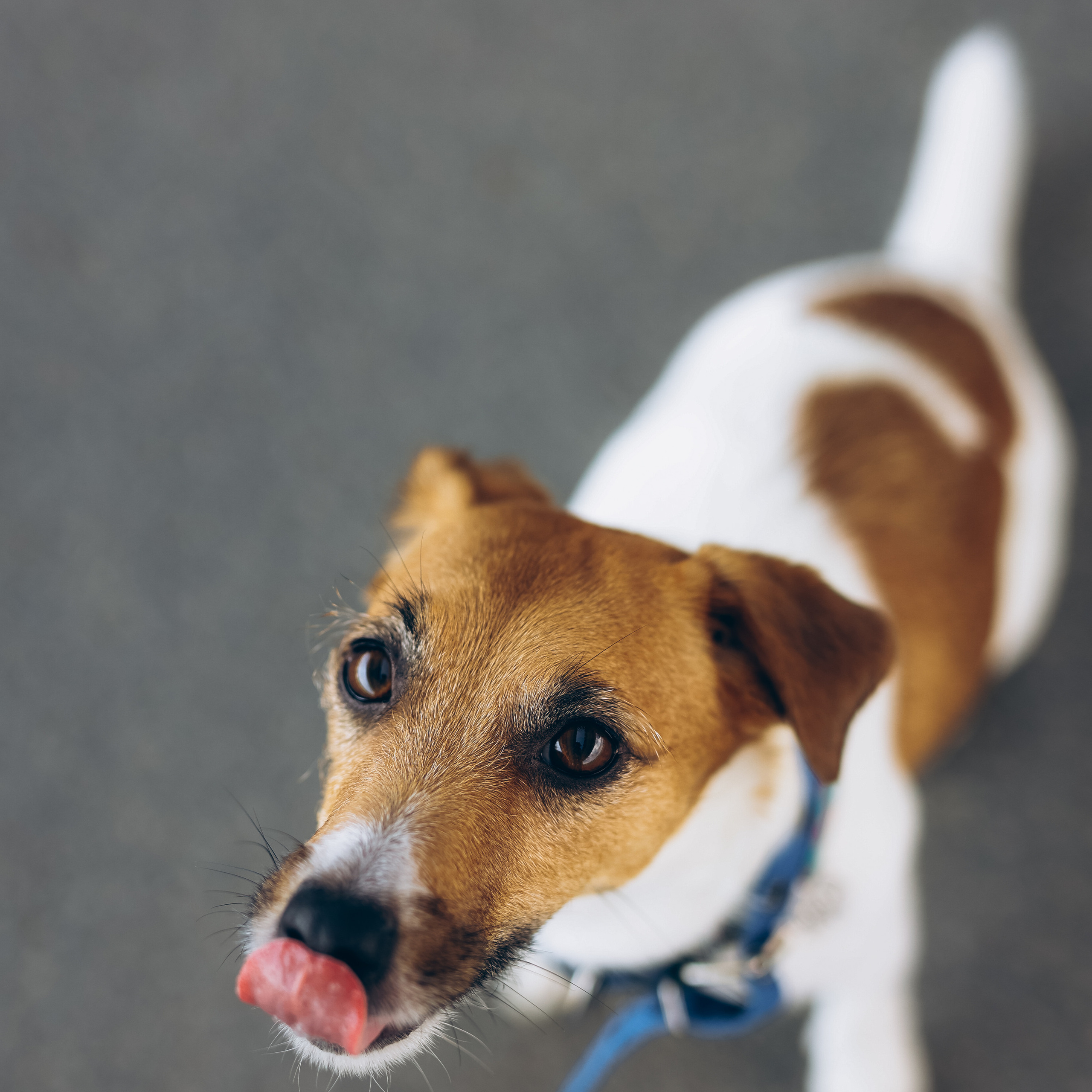 Прогулка в парке в день рождения Ульяны