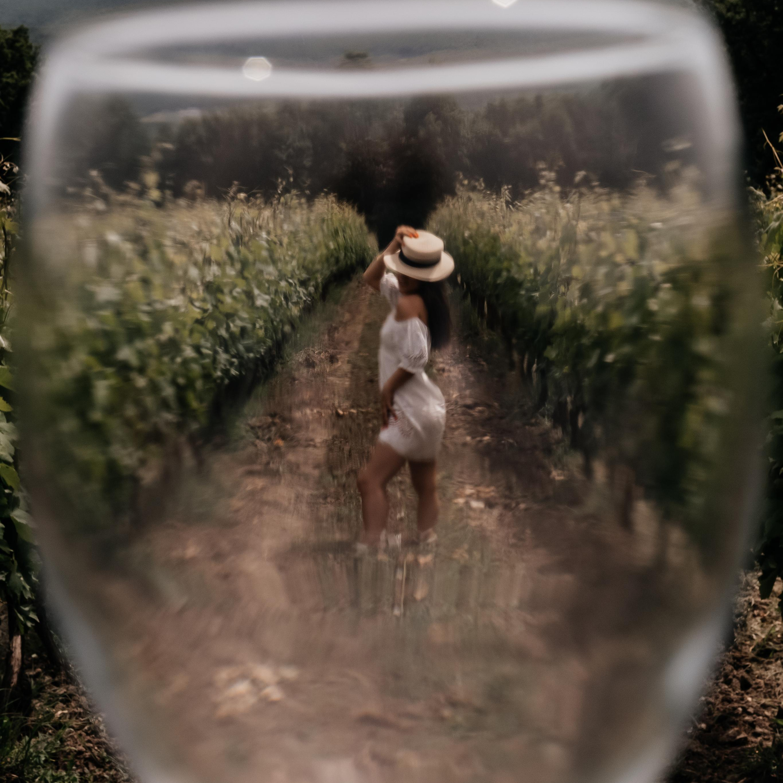 Вика винодельня «Собер Баш»