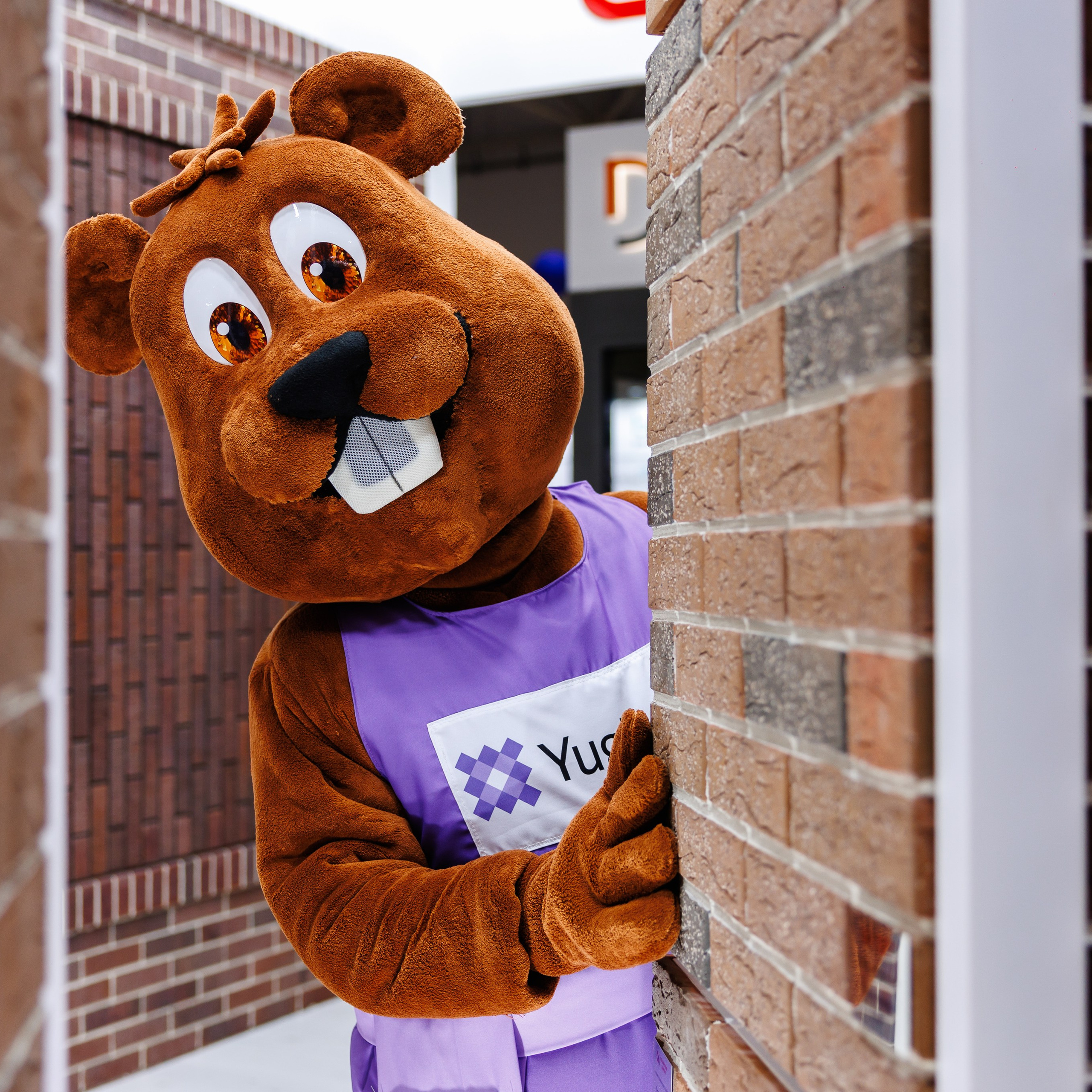 Экспоград Юг | Юг Билд