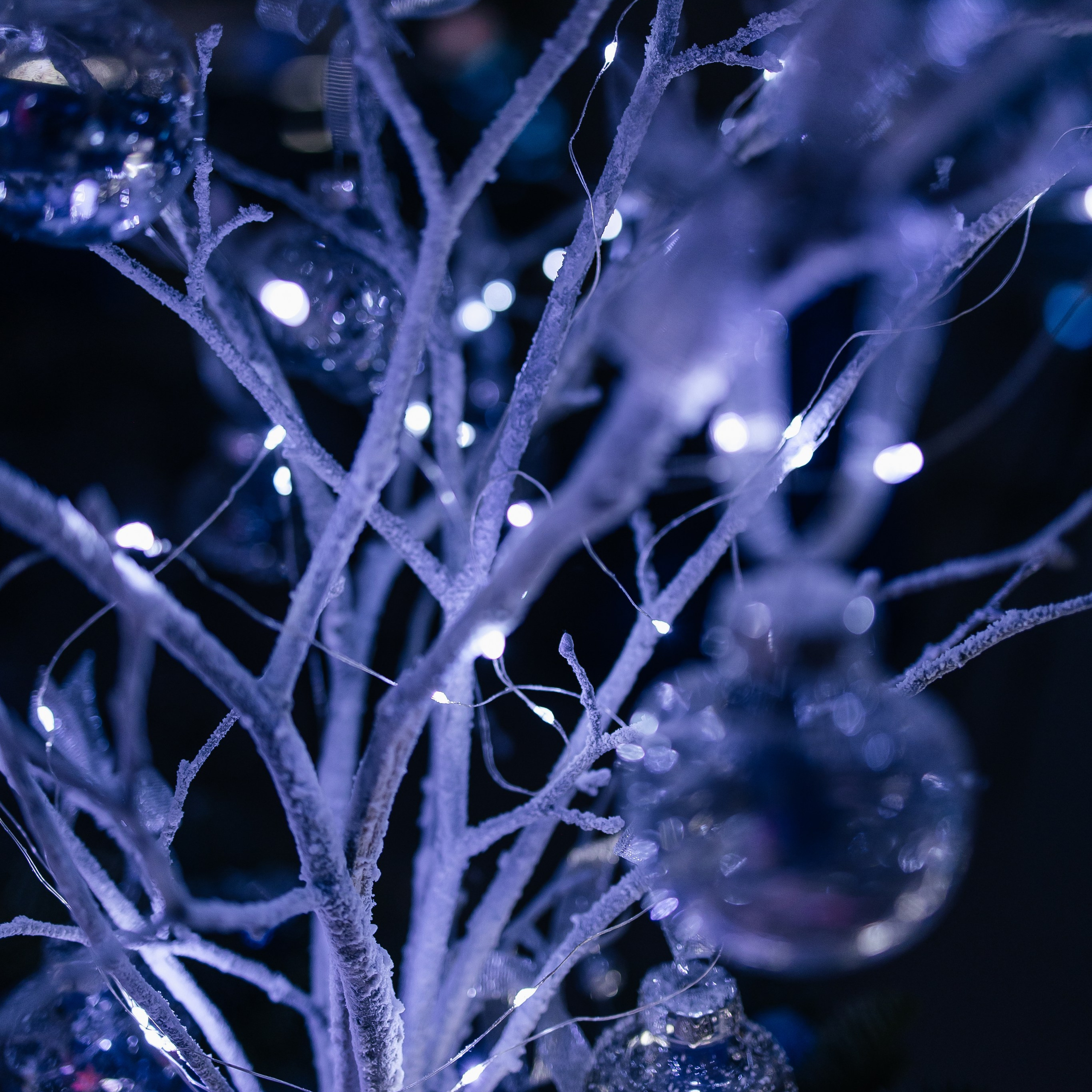 «Космический Новый Год»