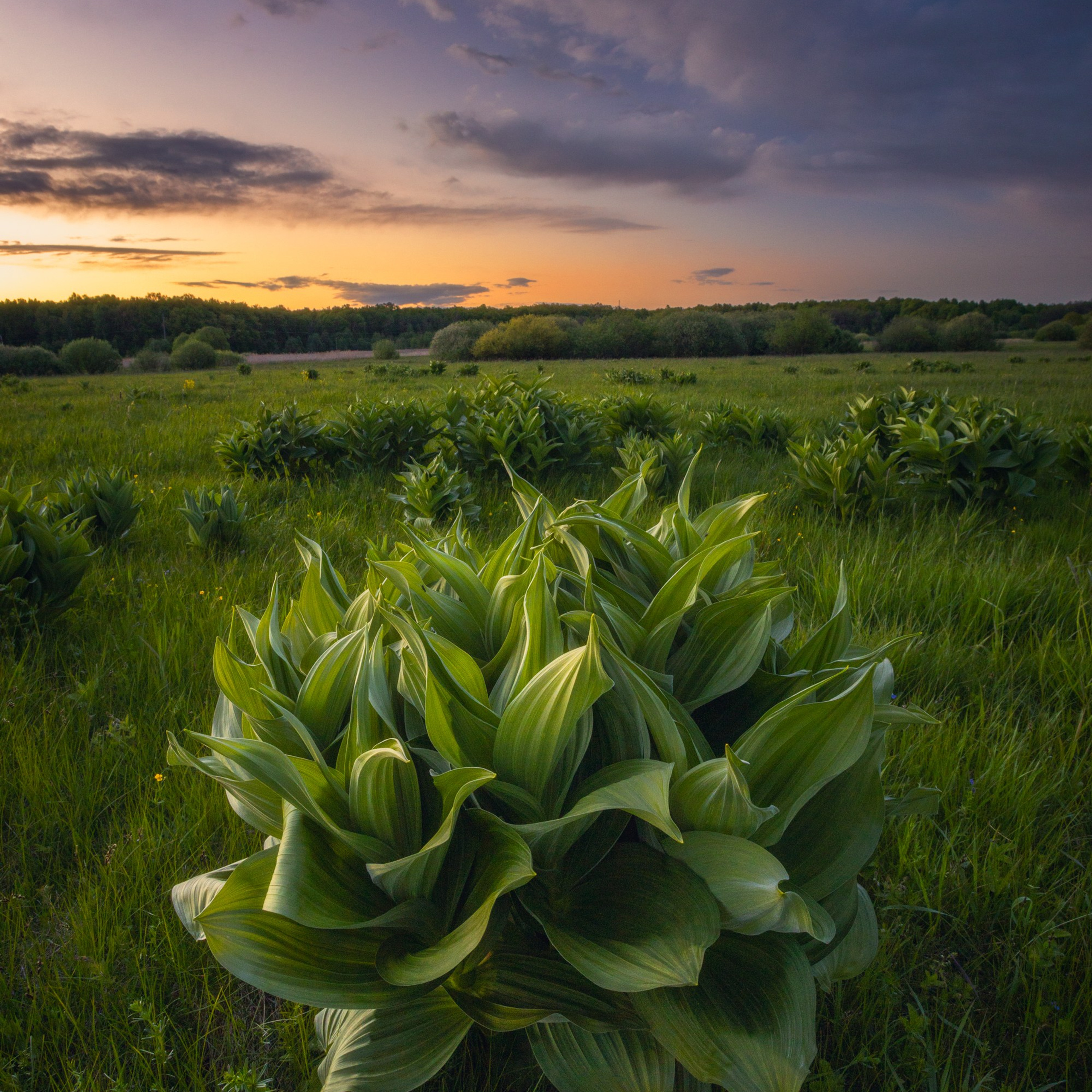 Блог. Николай Брытков — фотограф в Туле