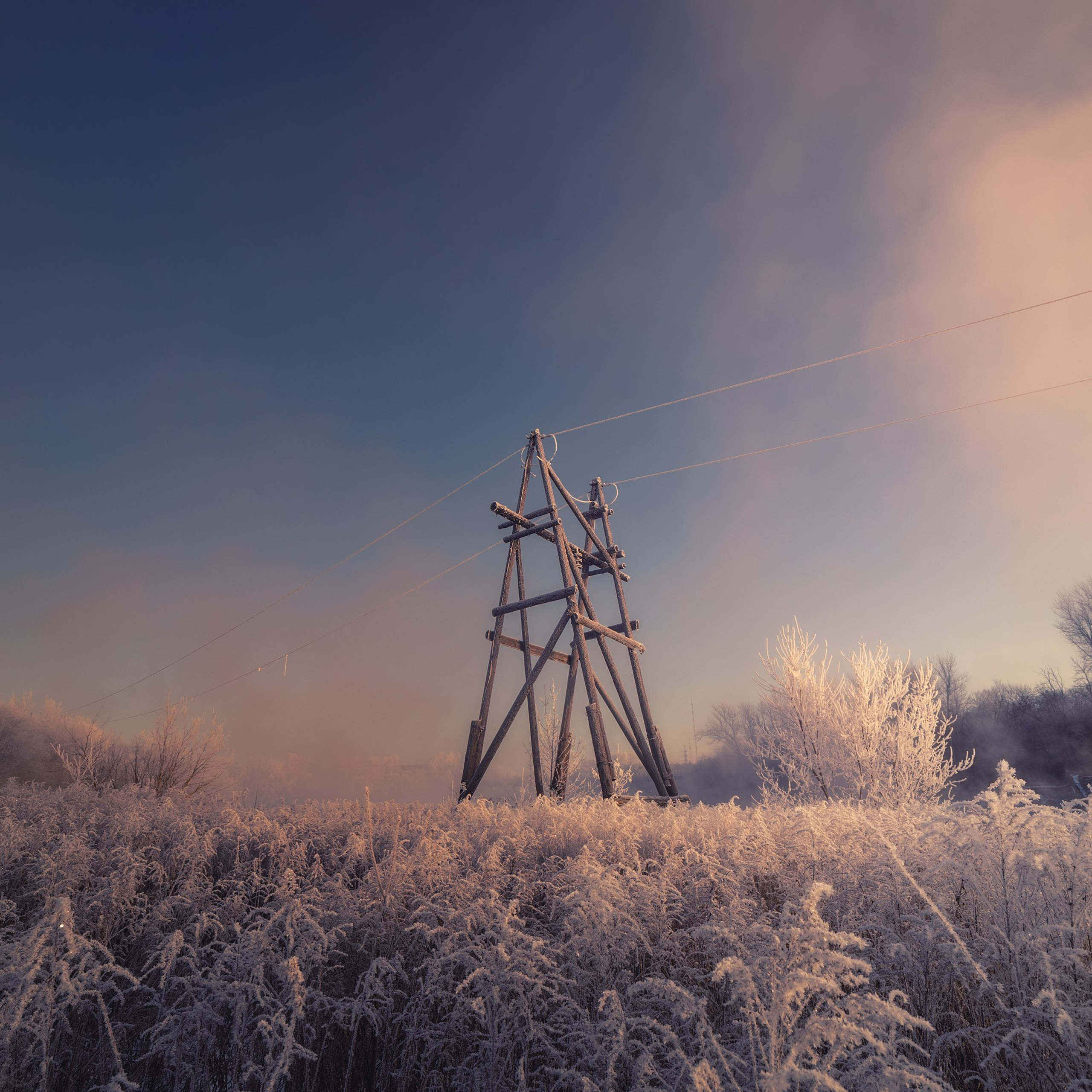 Блог. Николай Брытков — фотограф в Туле
