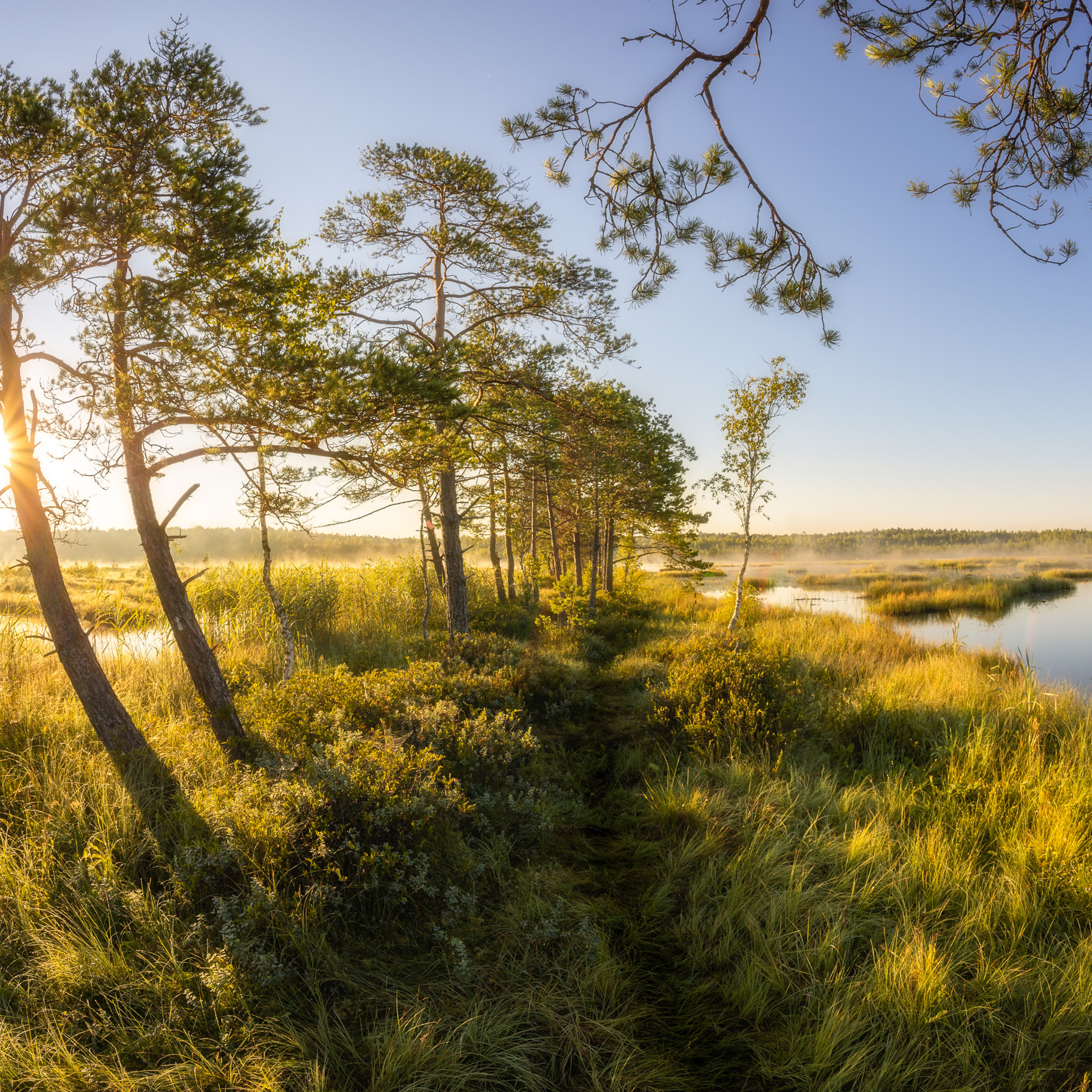 Галкинские болота