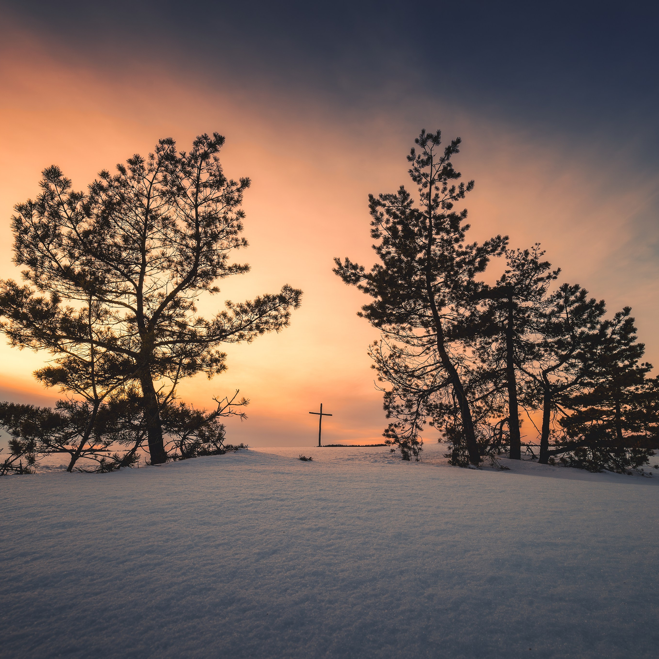 Блог. Николай Брытков — фотограф в Туле