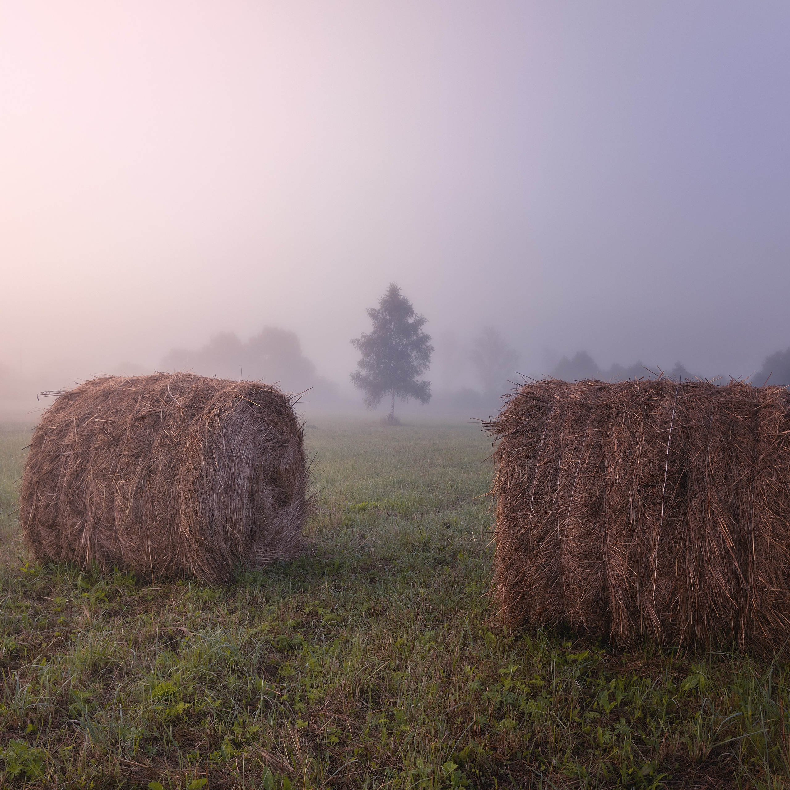 Блог. Николай Брытков — фотограф в Туле