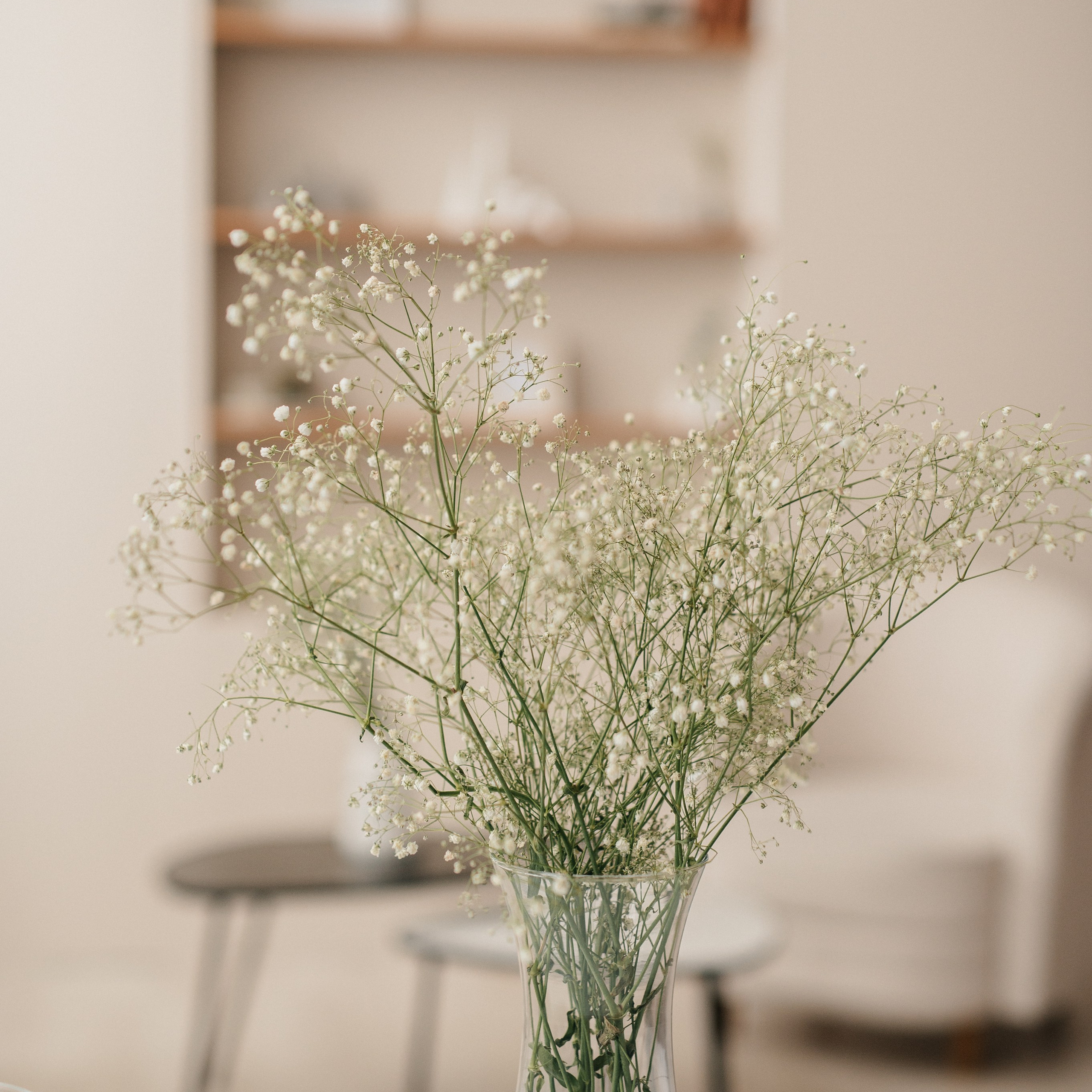 Студия. Катя Курлович — семейный фотограф в Бобруйске и Минске