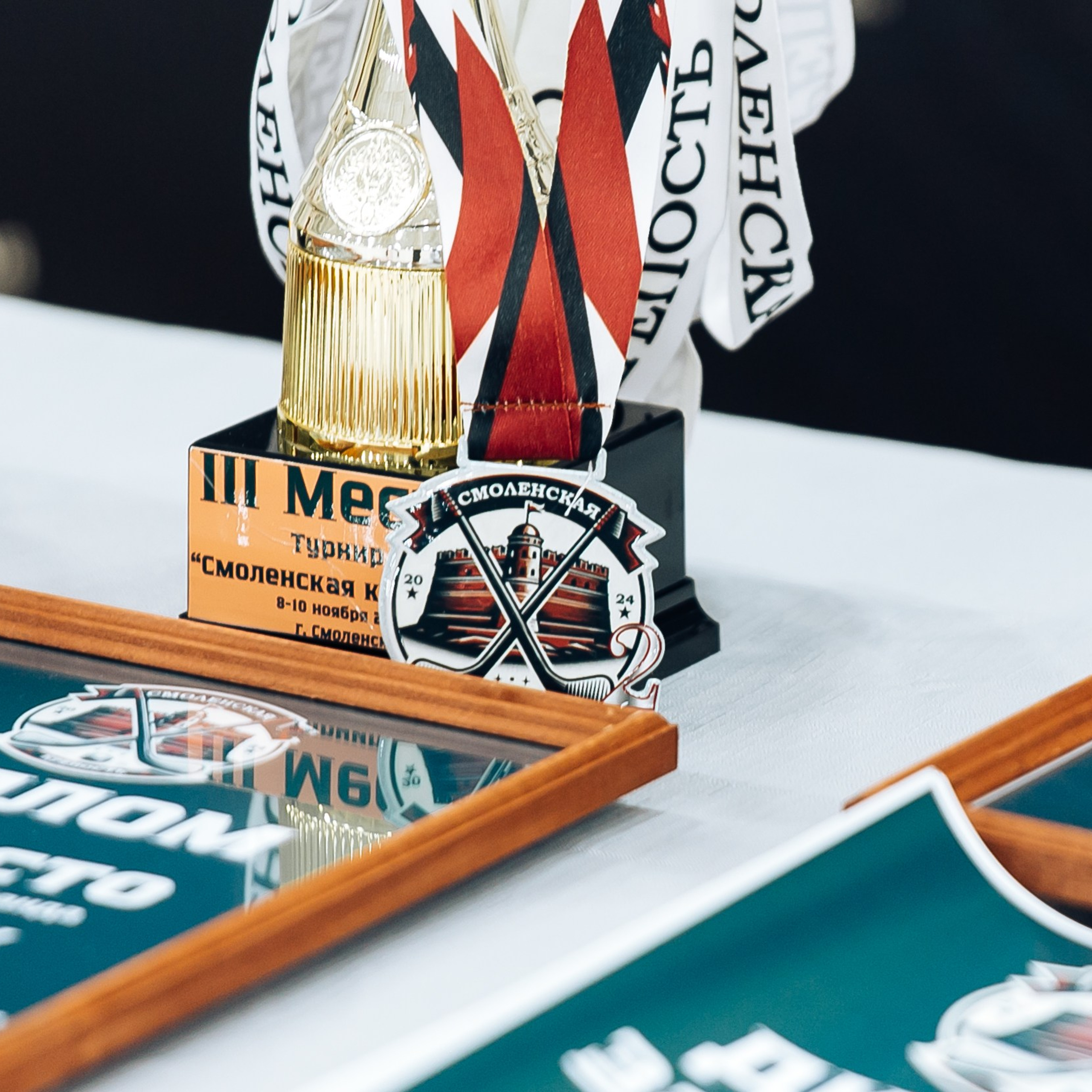 Репортаж хоккейного турнира в Смоленске. Фотограф | Михаил Буш Смоленск