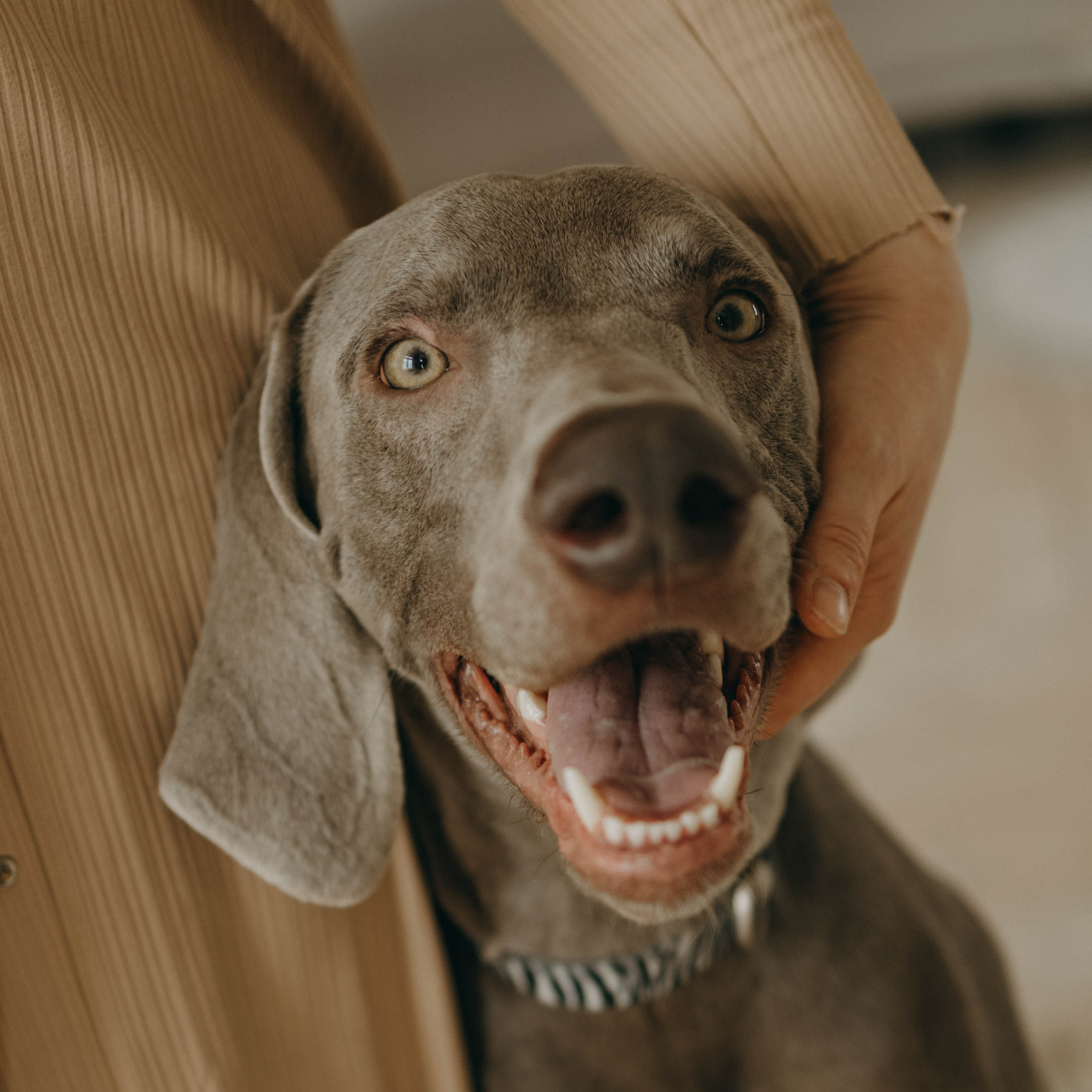 Ксения и Майк