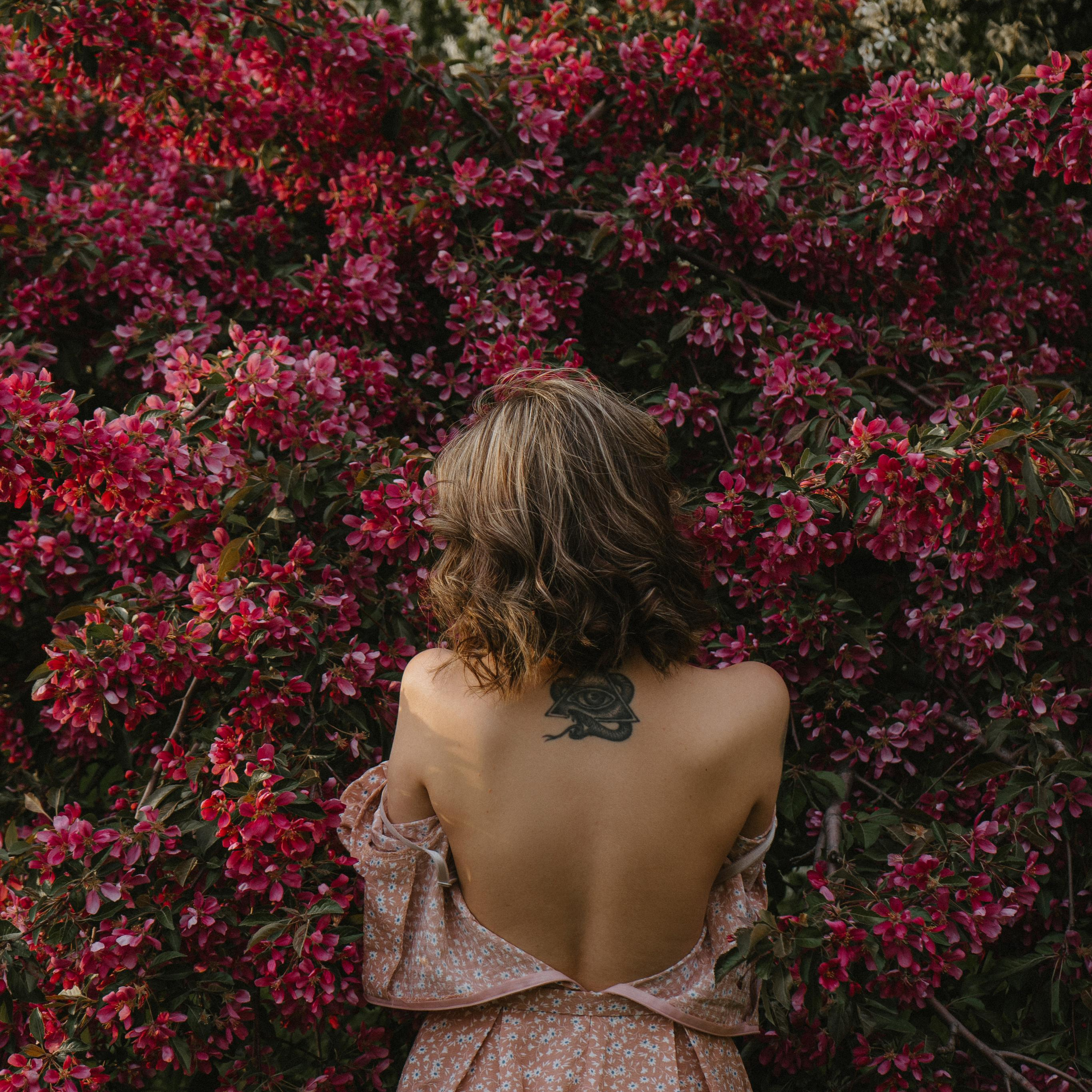 Яблоневый цвет