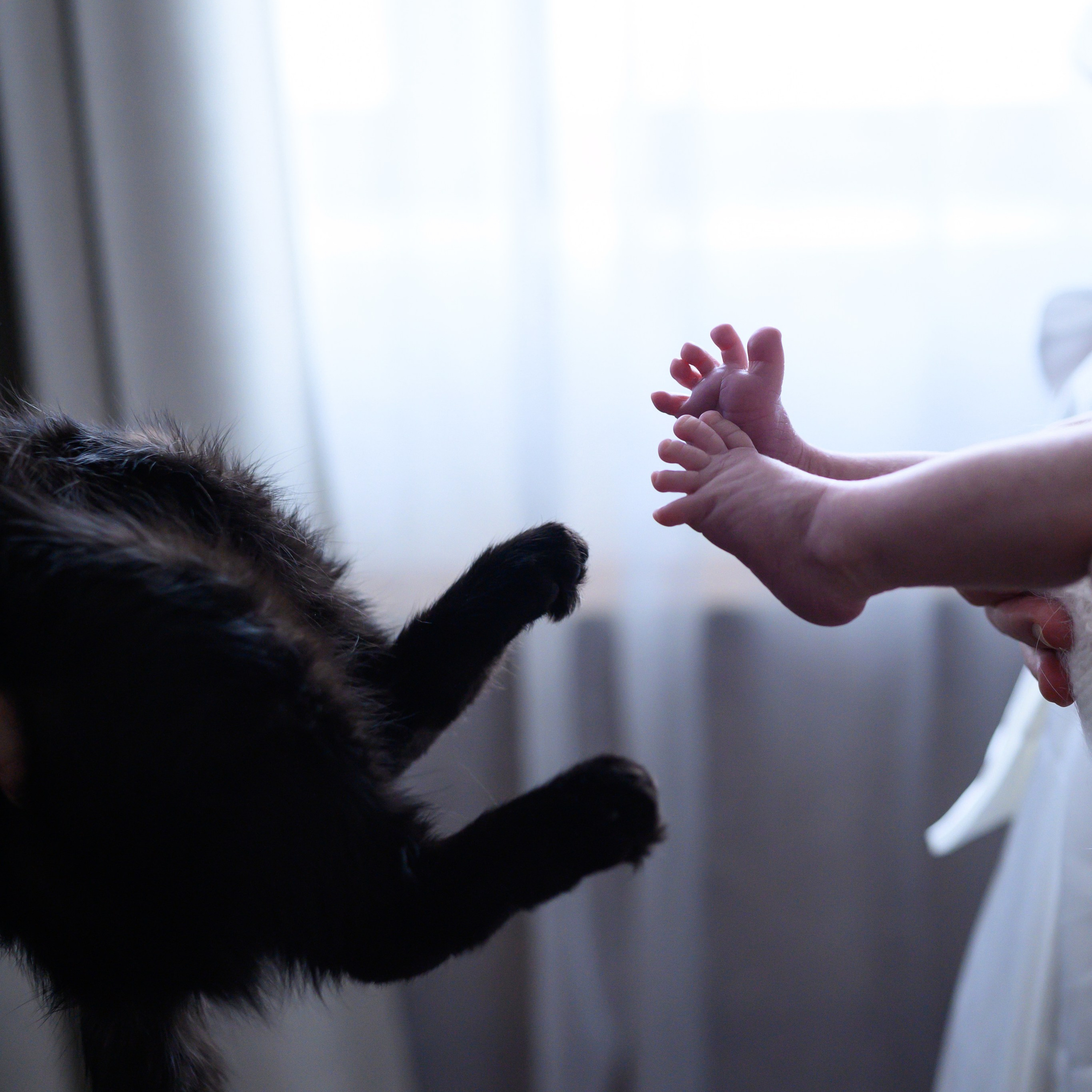 Отзывы о семейном фотографе Оксане Яковлевой