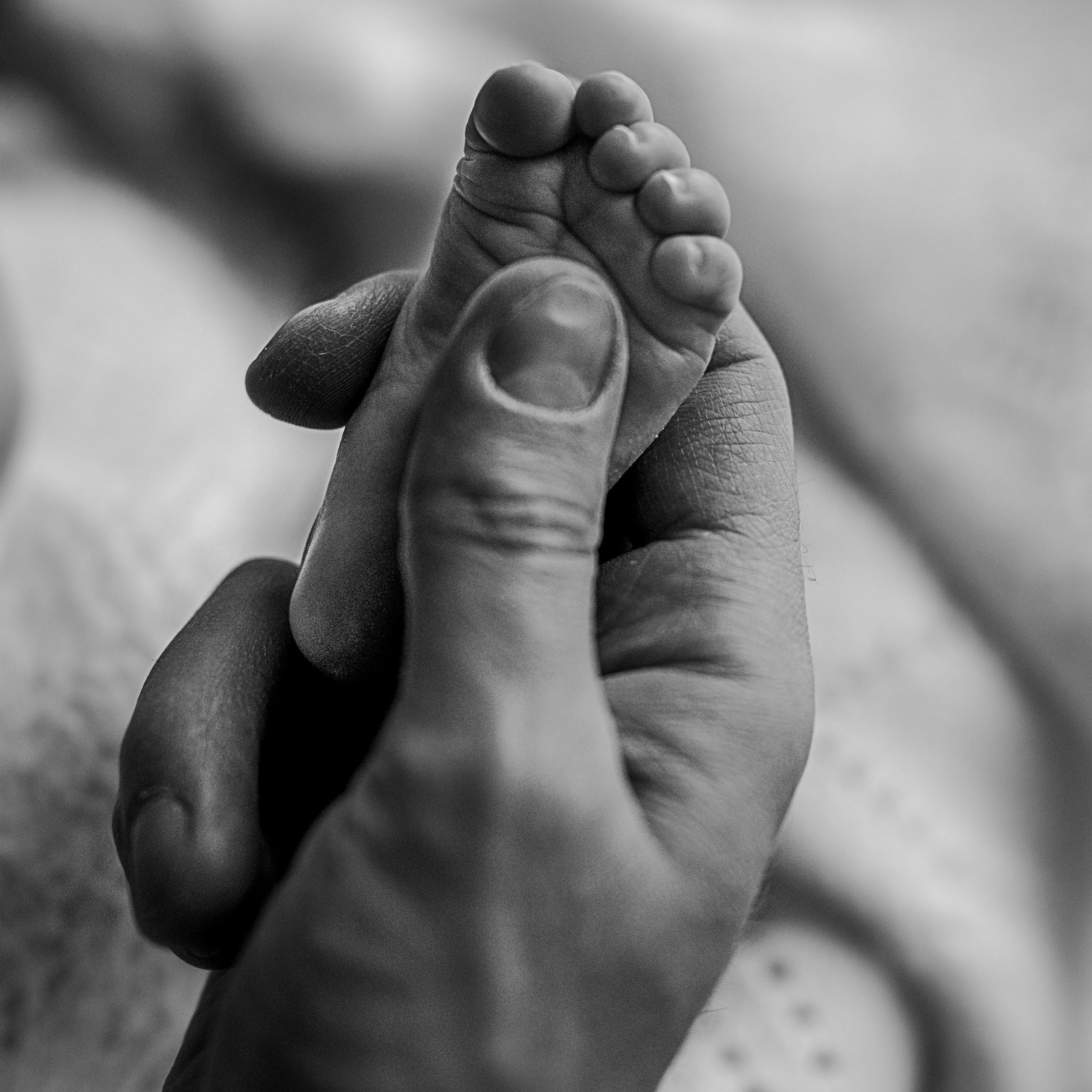 Фотосессия новорожденного Москва и Московская область