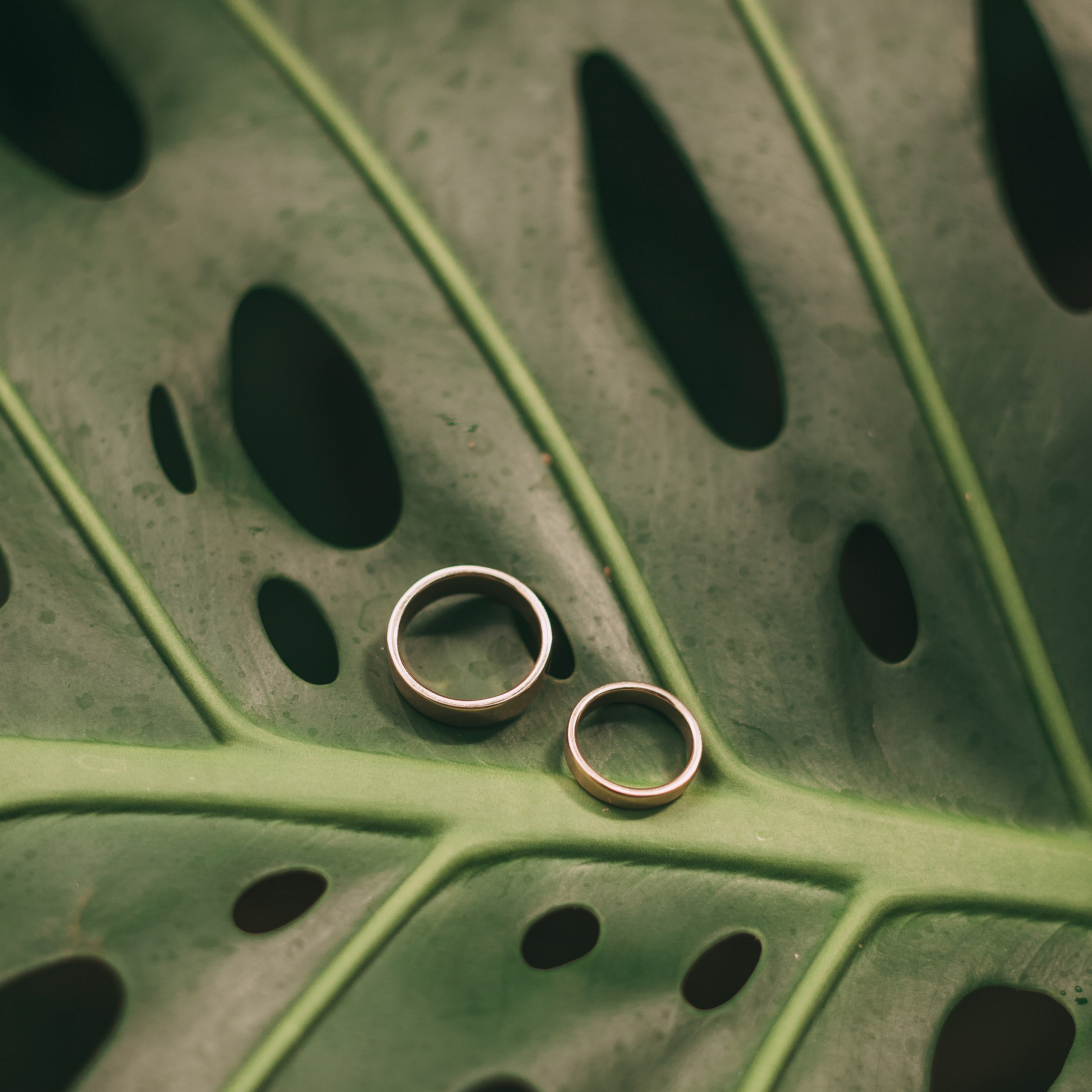 Сергей и Инна