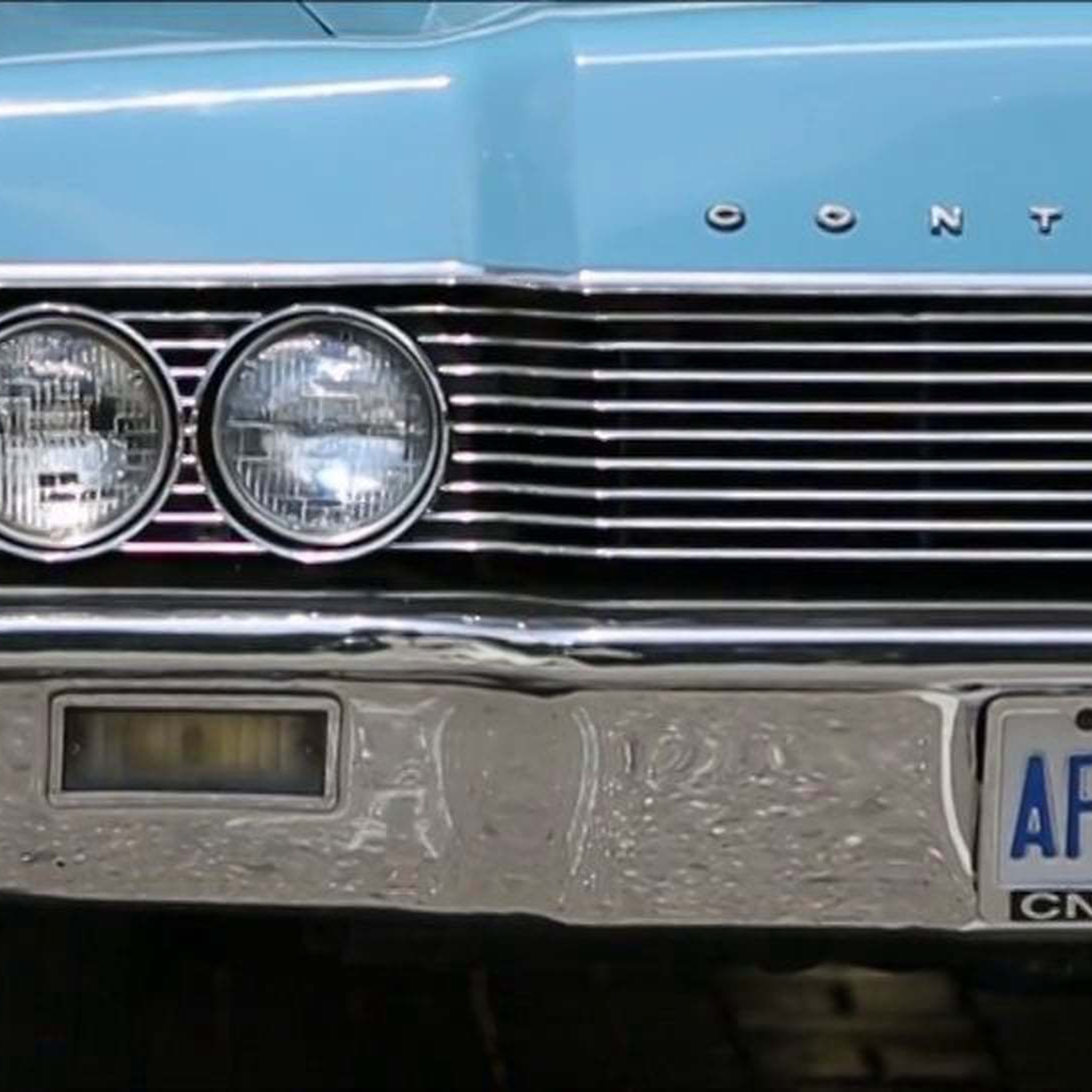 Лев и Карина