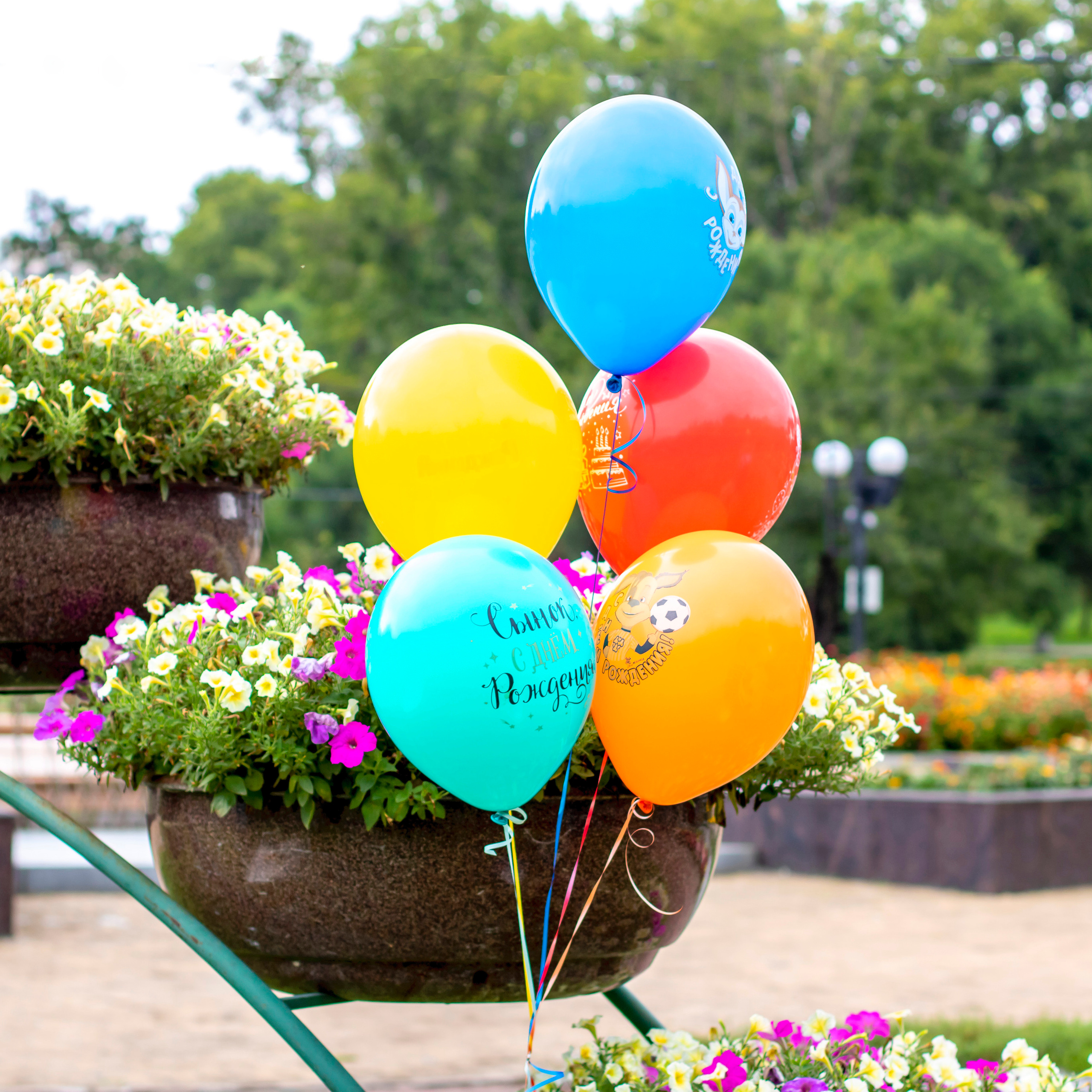 Отзывы. Семейный и детский фотограф в Хабаровске Алевтина Проскурякова