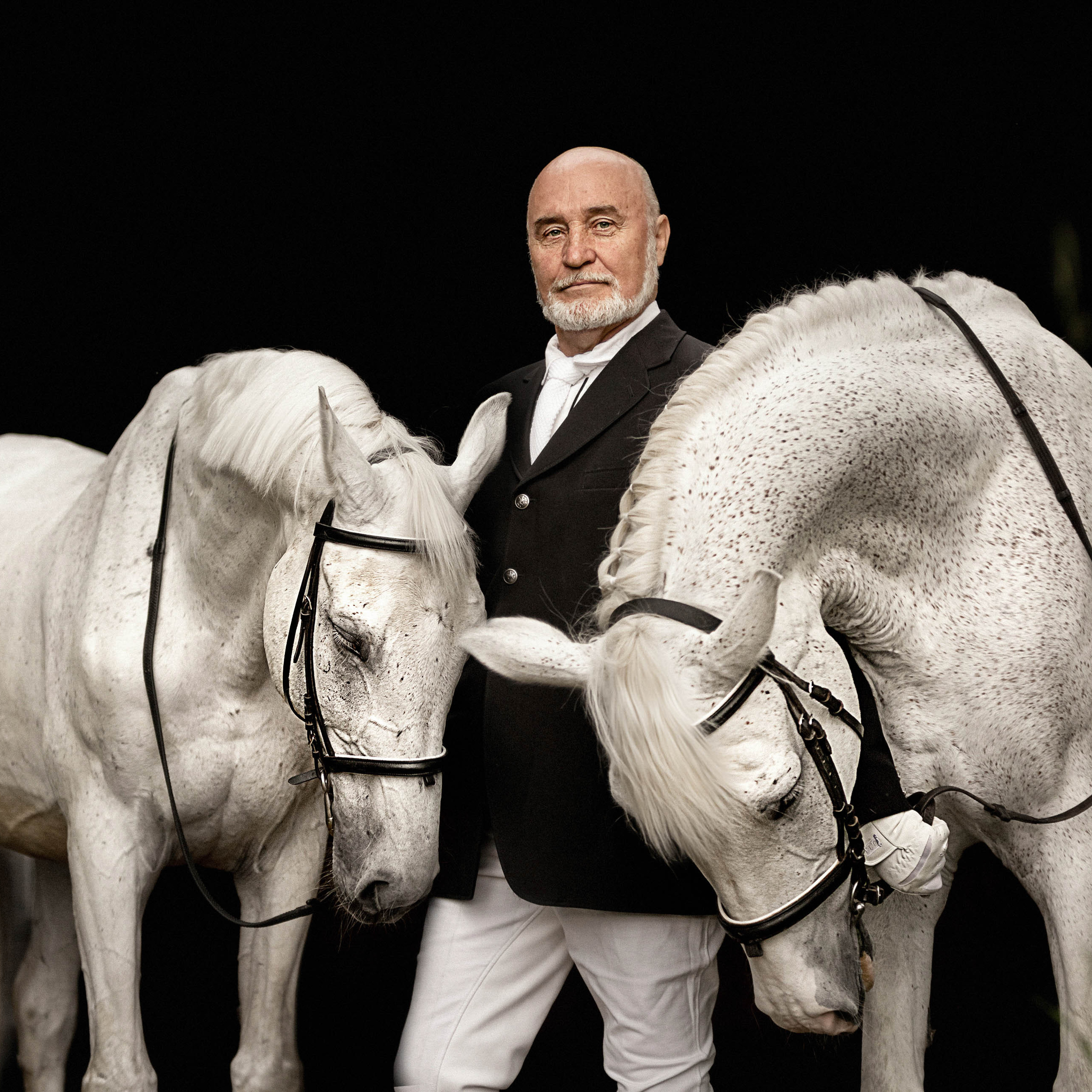 Портрет конника с одной лошадью