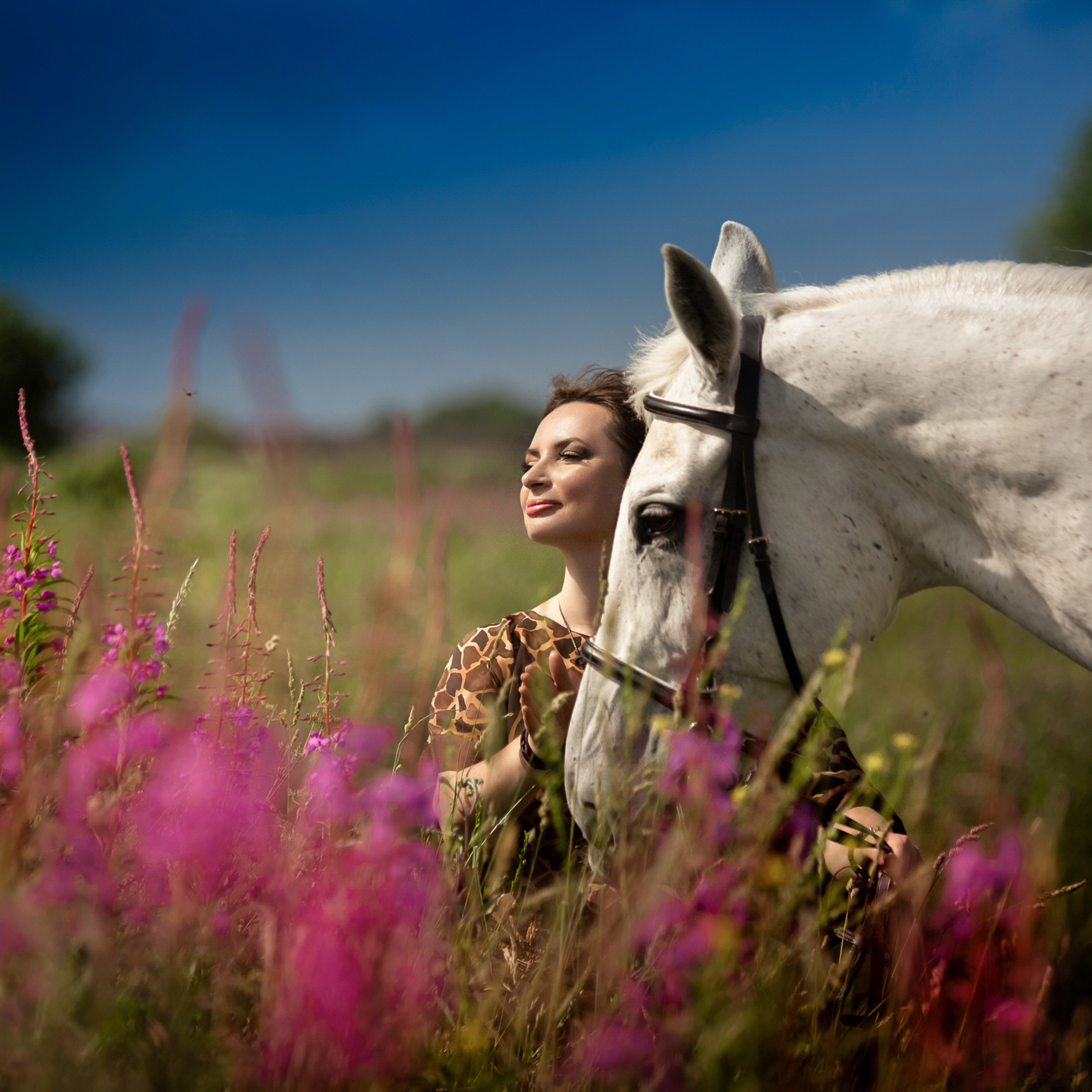 В поле с иван-чаем
