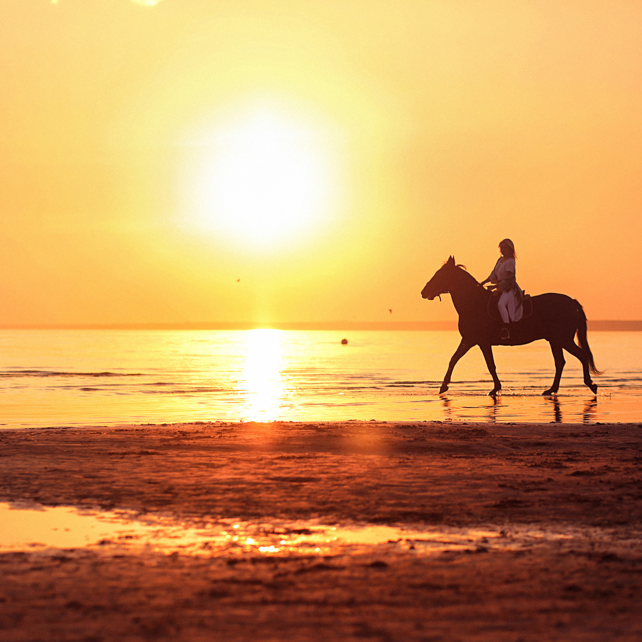 Закат_Светлана и Дарик