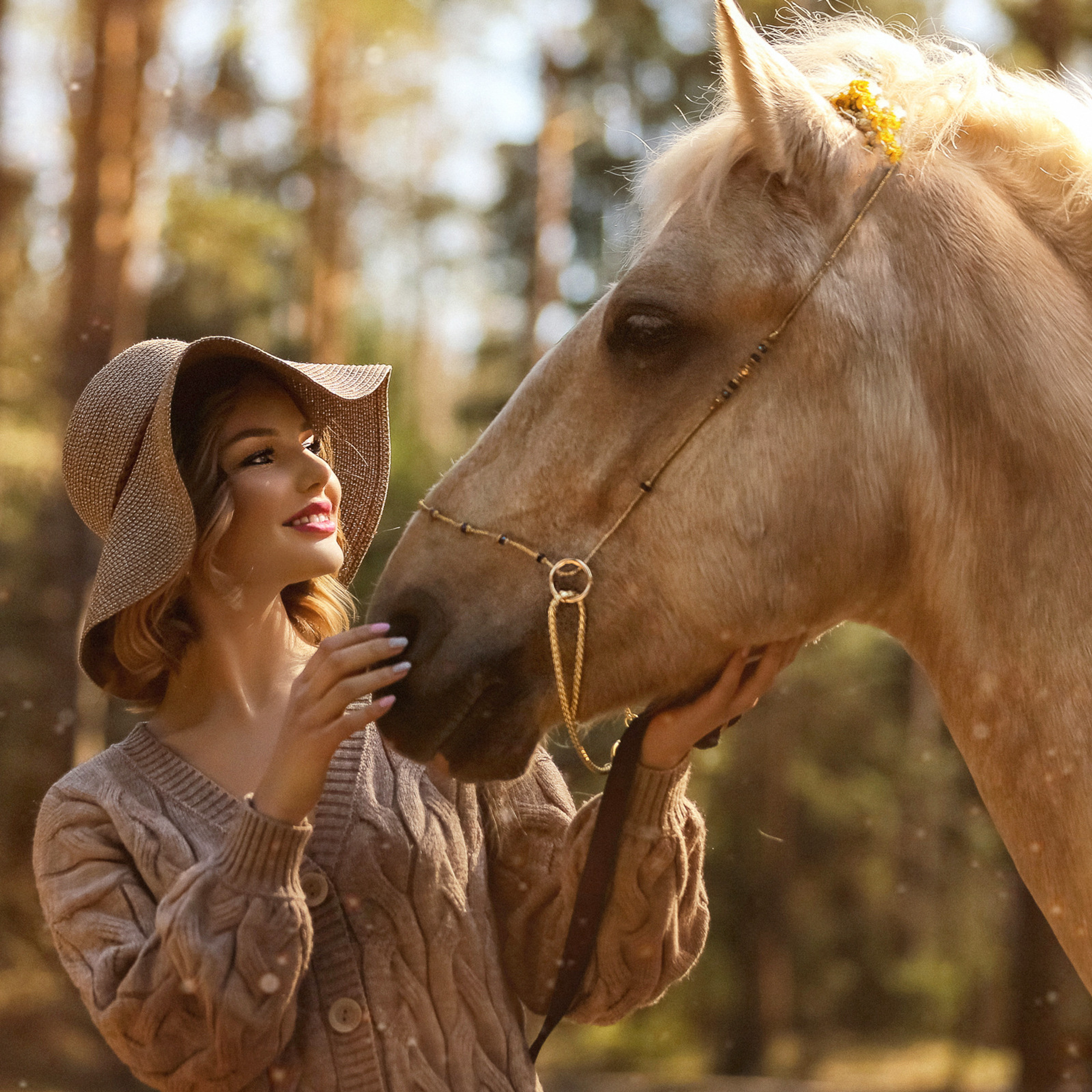 Лесная сказка