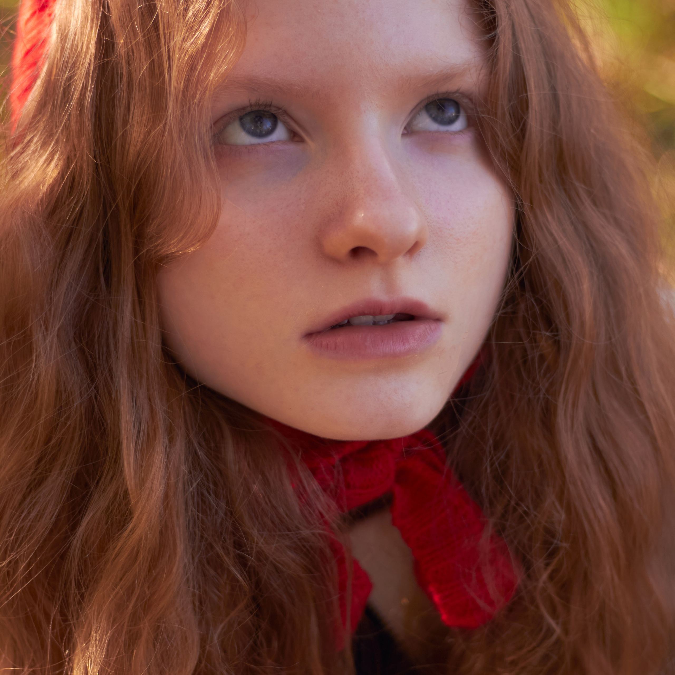 Осенняя история