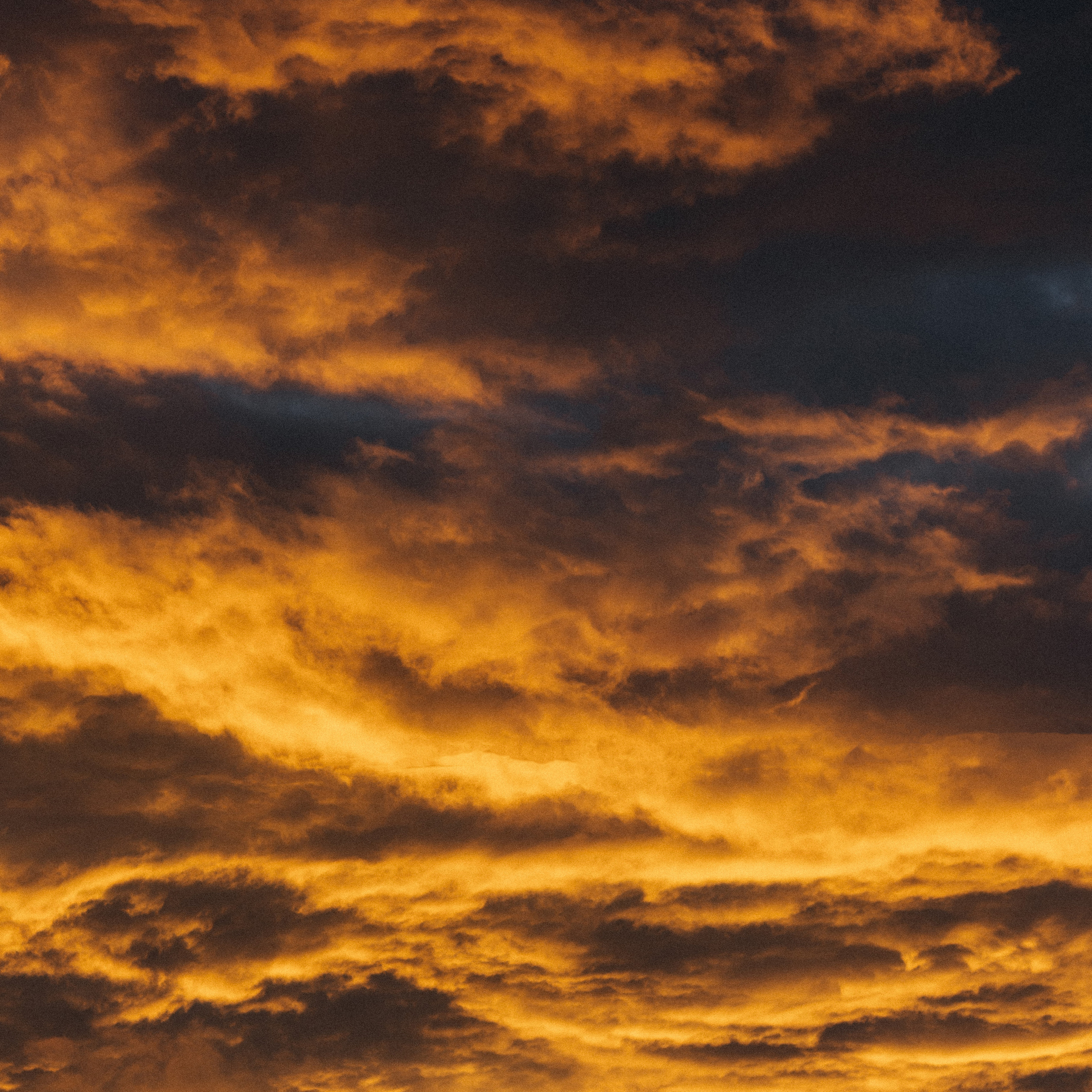Отзывы. Свадебный и репортажный фотограф Евгений Петров